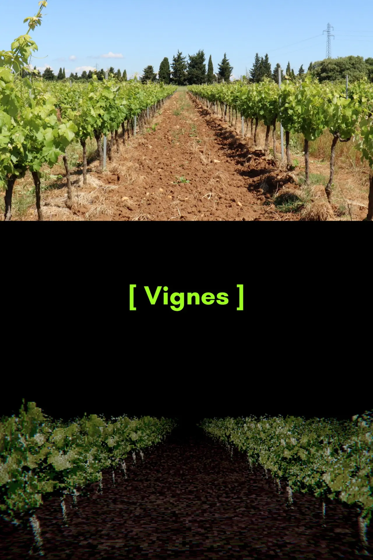 Постер до фільму "[ Vignes ]"