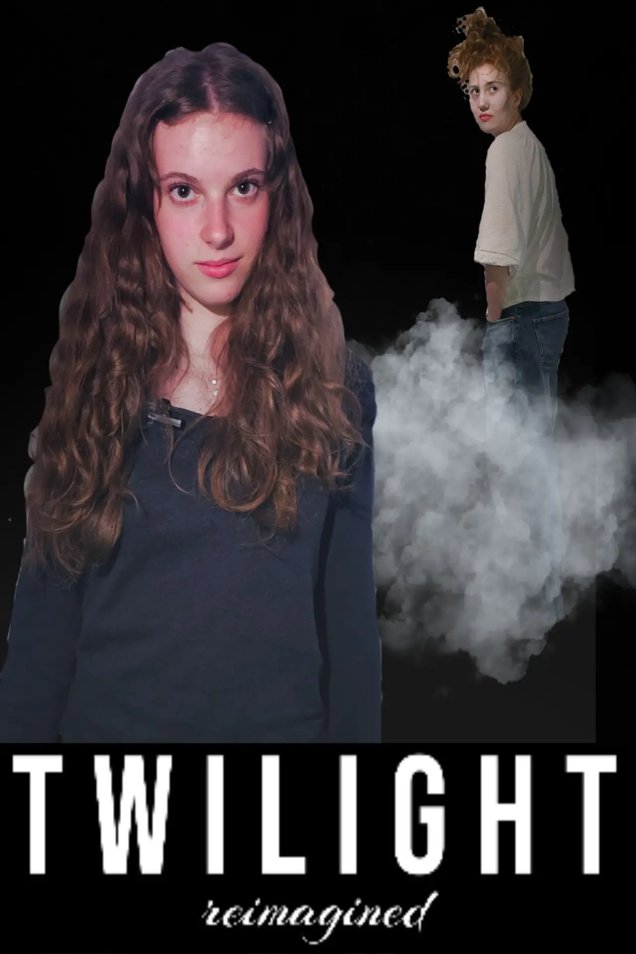 Постер до фільму "Twilight: reimagined"