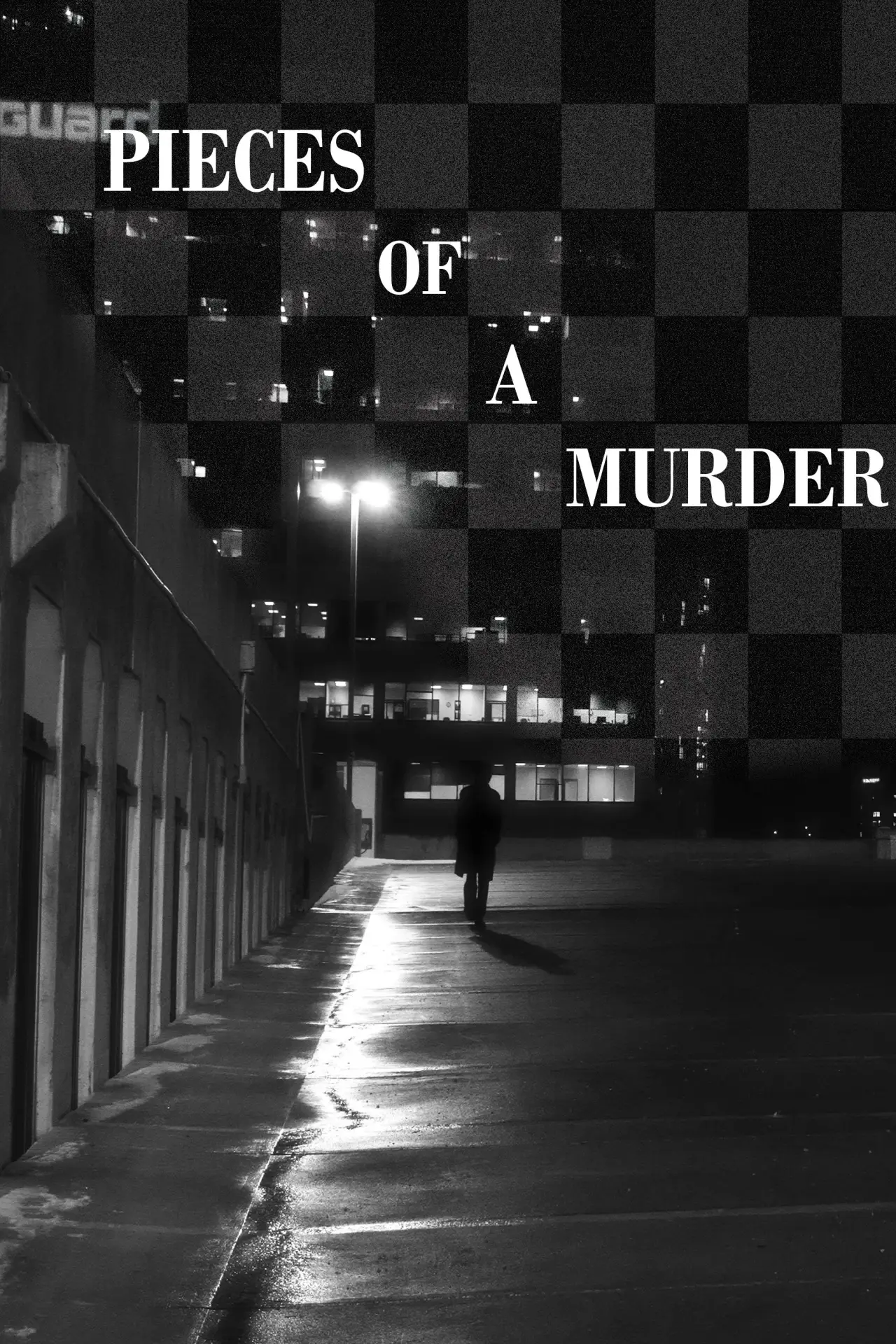 Постер до фільму "Pieces of a Murder"