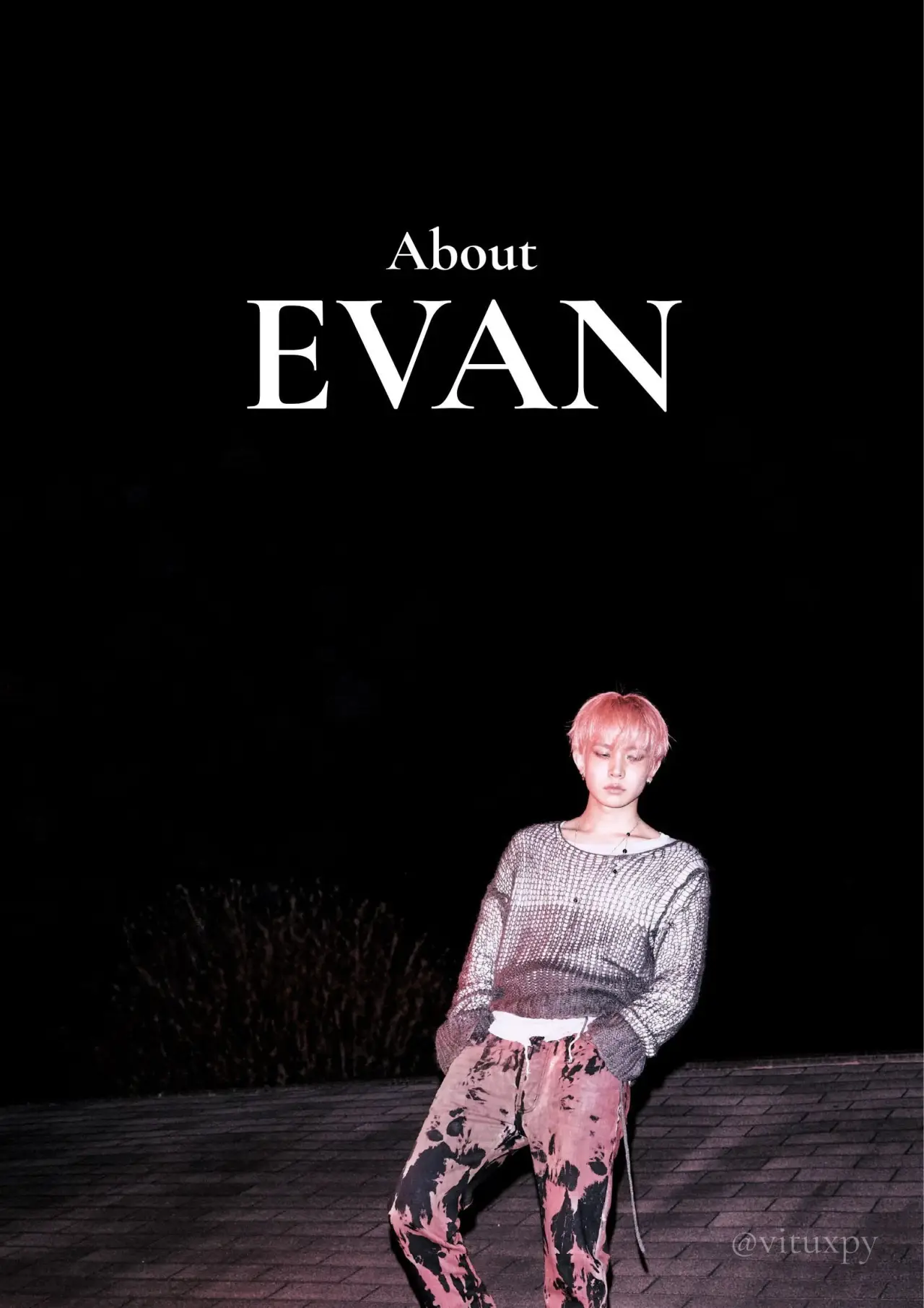 Постер до фільму "About EVAN"
