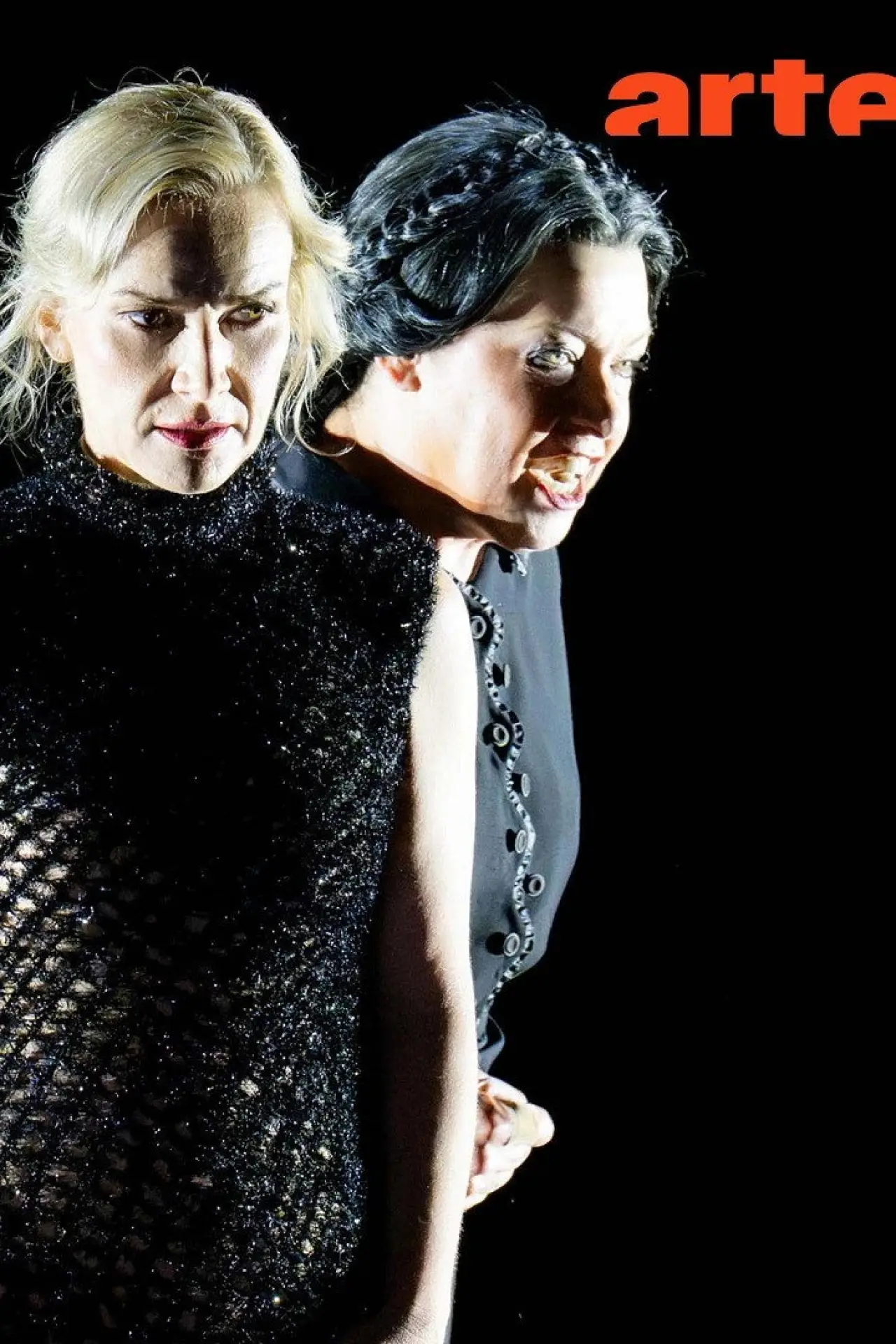 Постер до фільму "Richard Strauss : La femme sans ombre Festival d’Aix-en-Provence 2026"