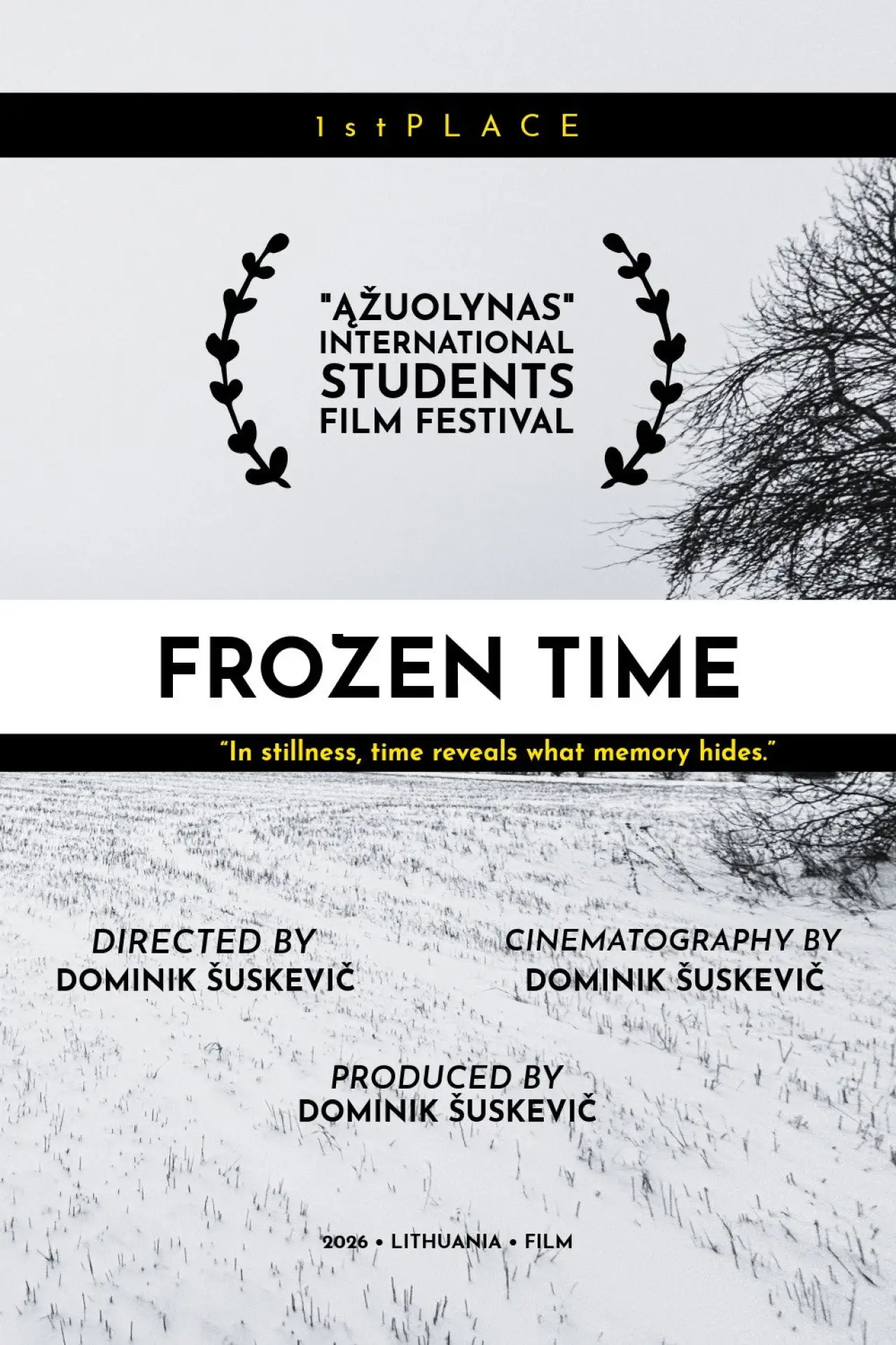 Постер до фільму "Frozen Time: What If"