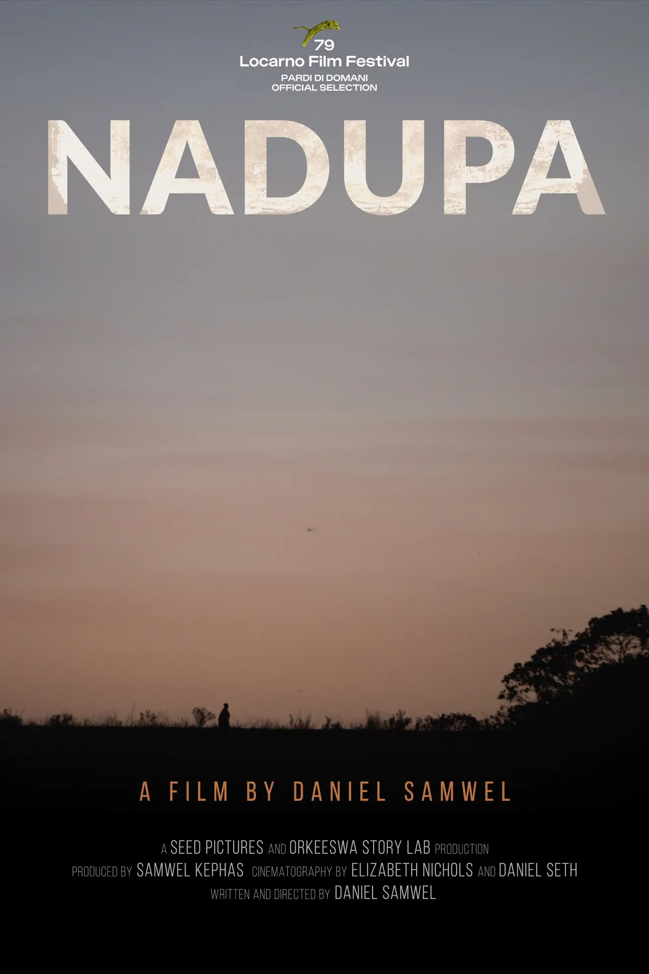 Постер до фільму "NADUPA"