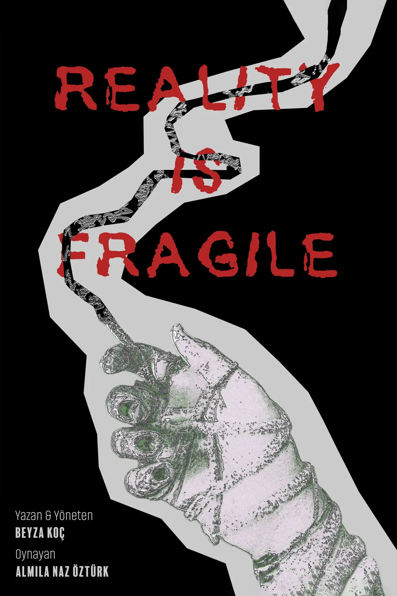 Постер до фільму "Reality Is Fragile"