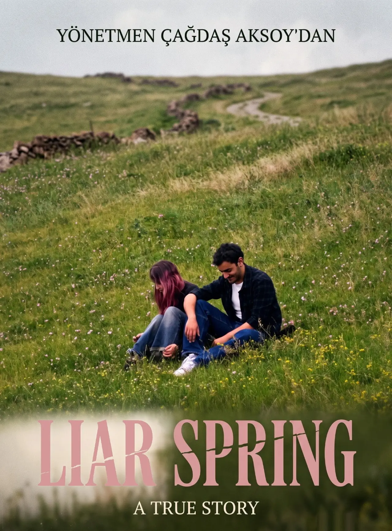 Постер до фільму "Liar Spring"