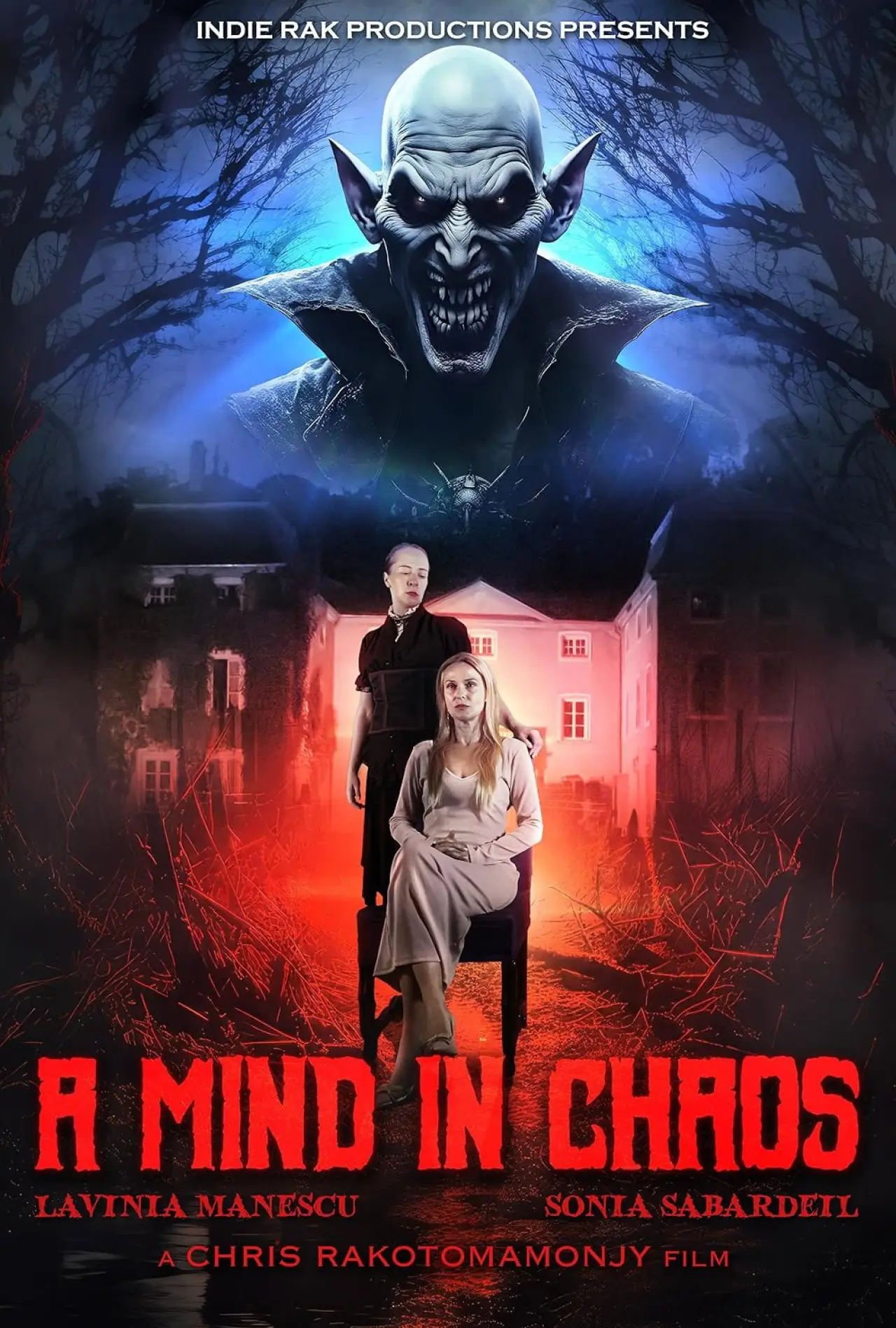 Постер до фільму "A Mind in Chaos"