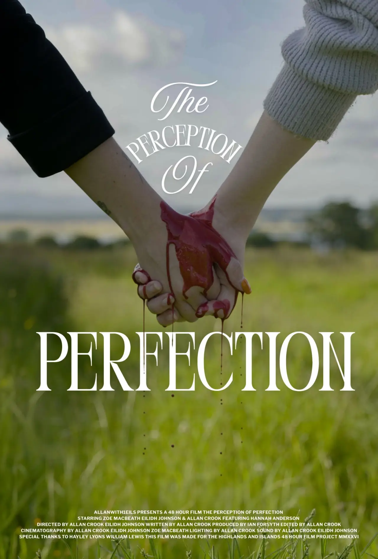 Постер до фільму "The Perception of Perfection"