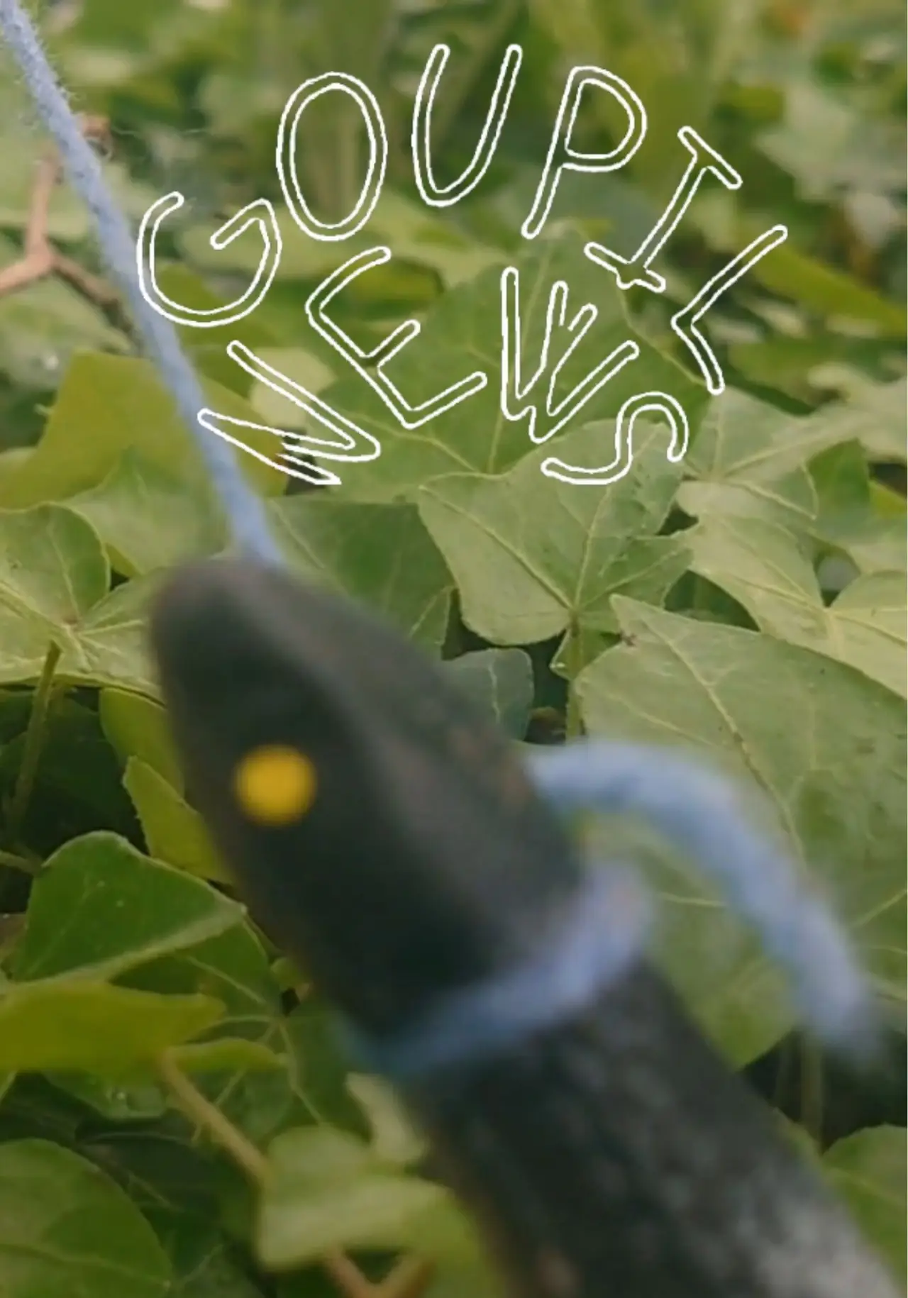 Постер до фільму "Goupil News"