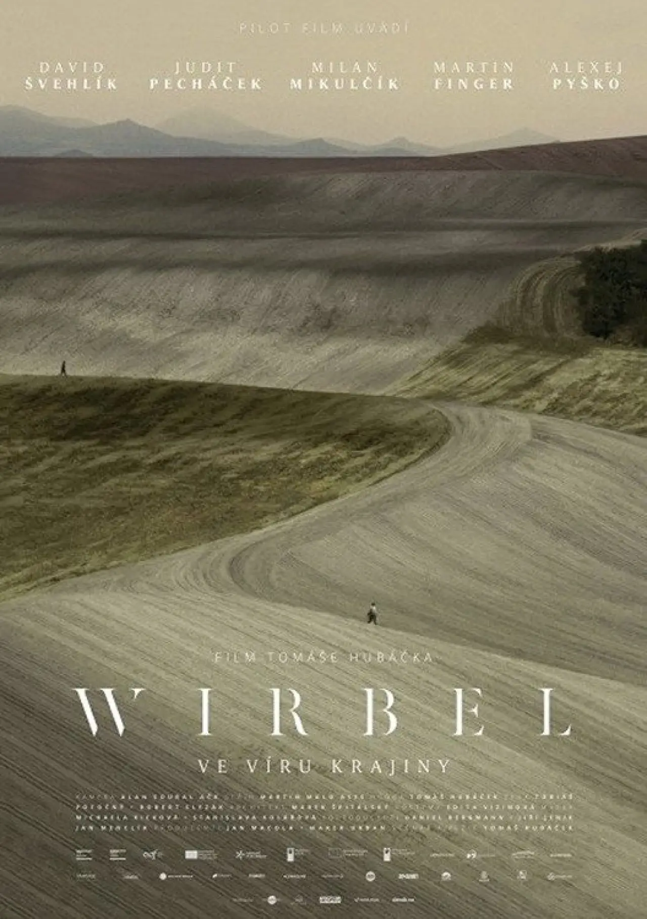 Постер до фільму "Wirbel"