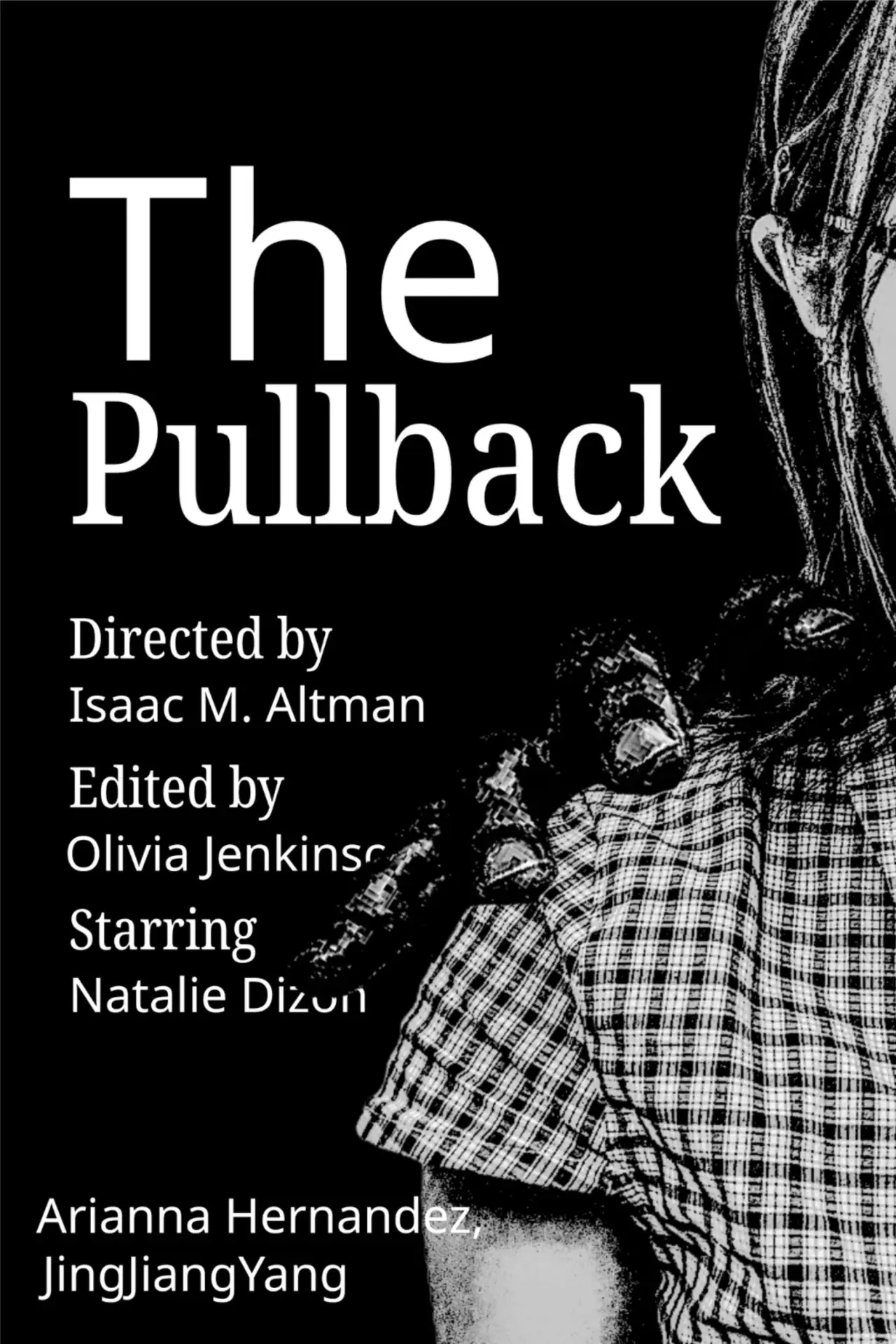 Постер до фільму "The Pullback"