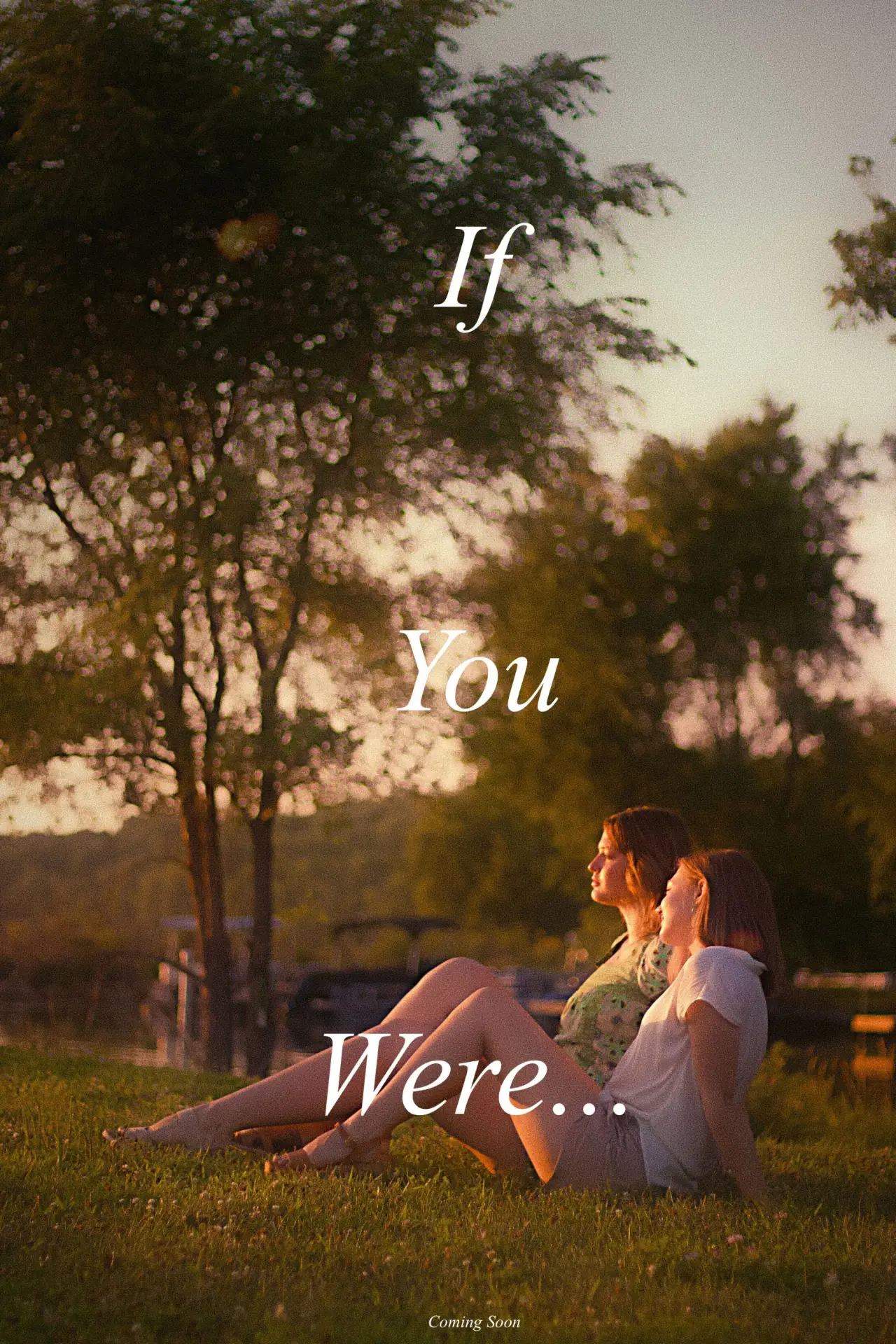 Постер до фільму "If You Were…"