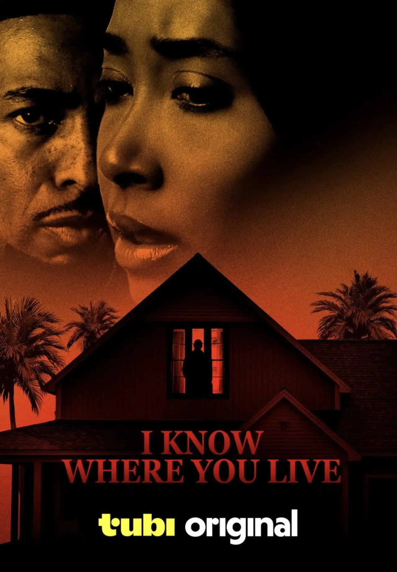 Постер до фільму "I Know Where You Live"