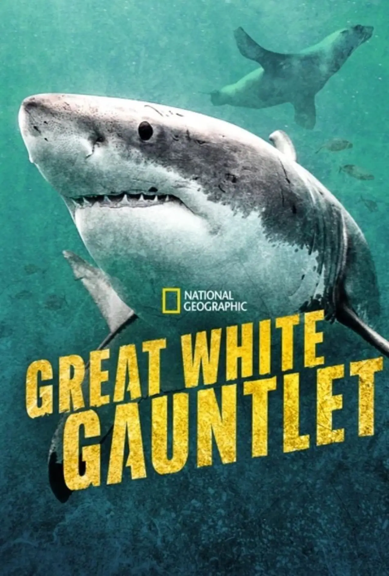 Постер до фільму "Great White Gauntlet"
