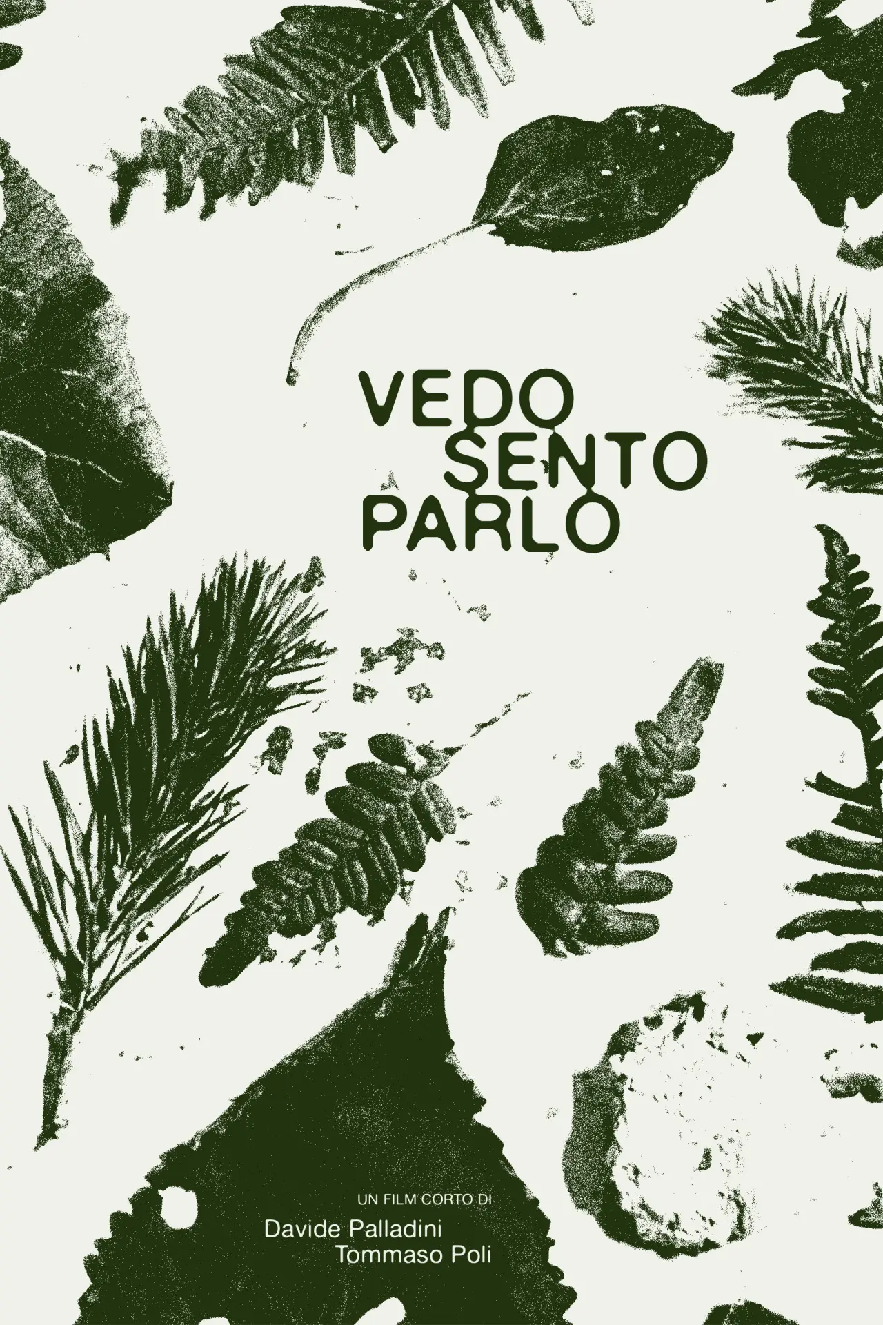 Постер до фільму "Vedo Sento Parlo"