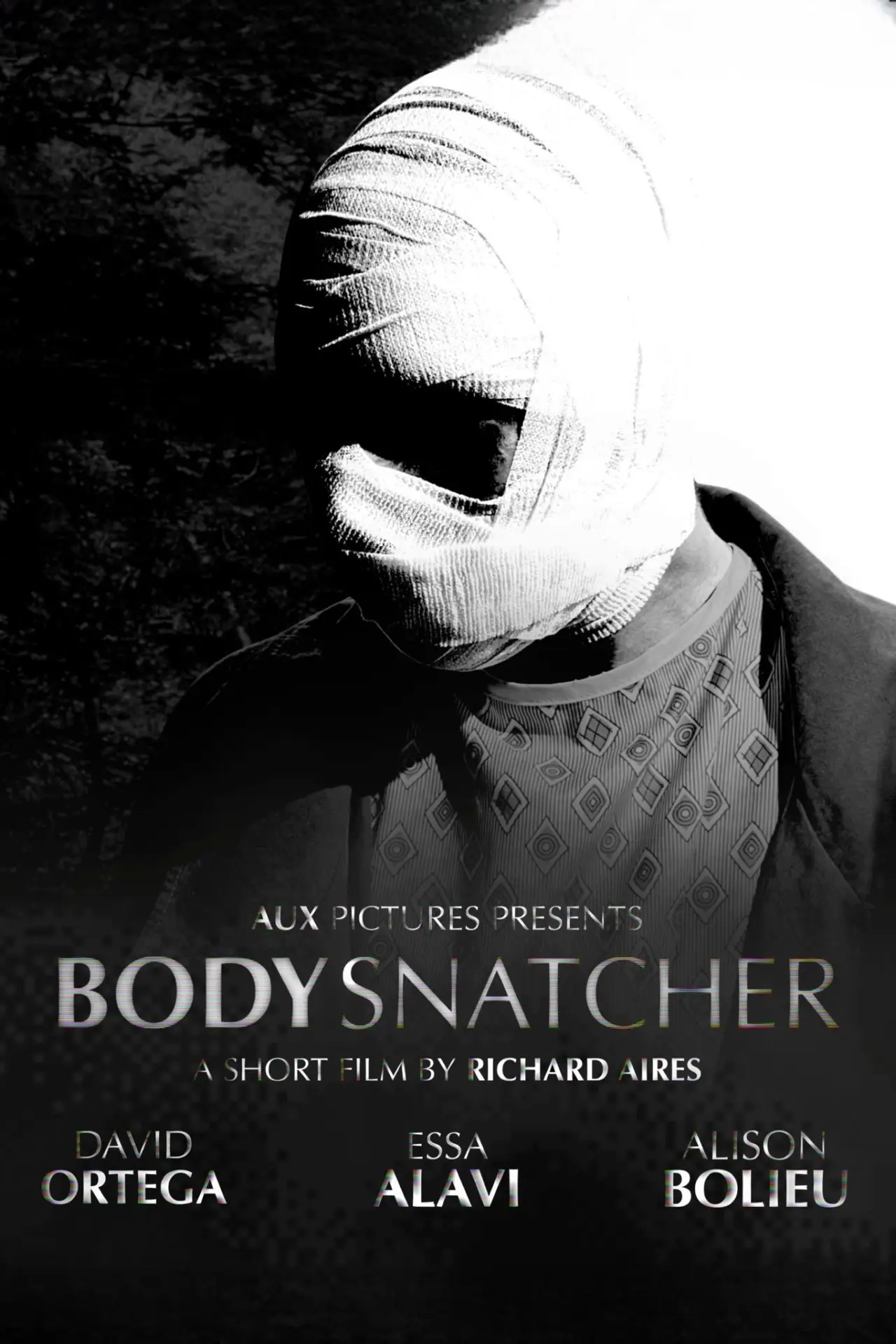 Постер до фільму "Bodysnatcher"