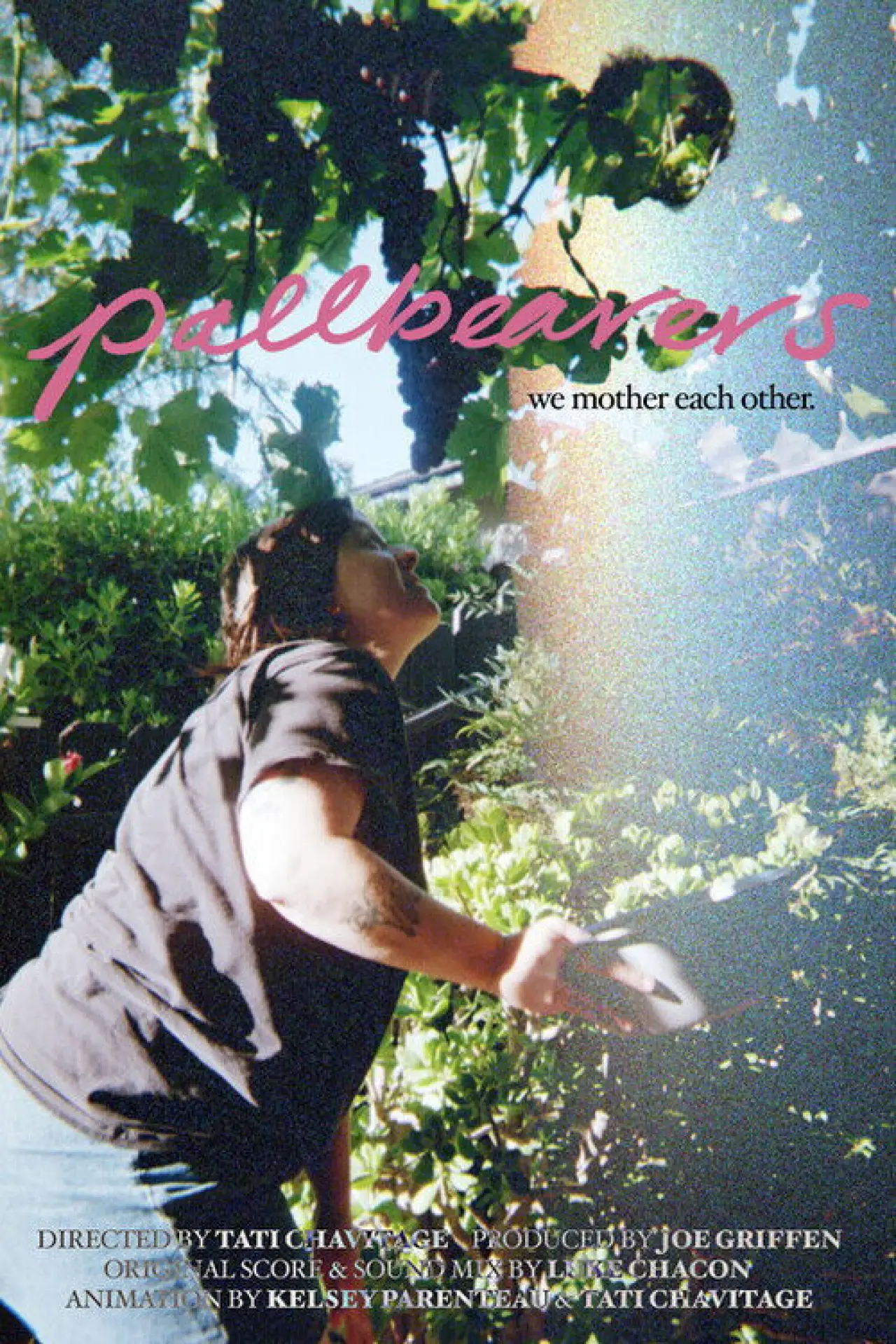 Постер до фільму "Pallbearers"