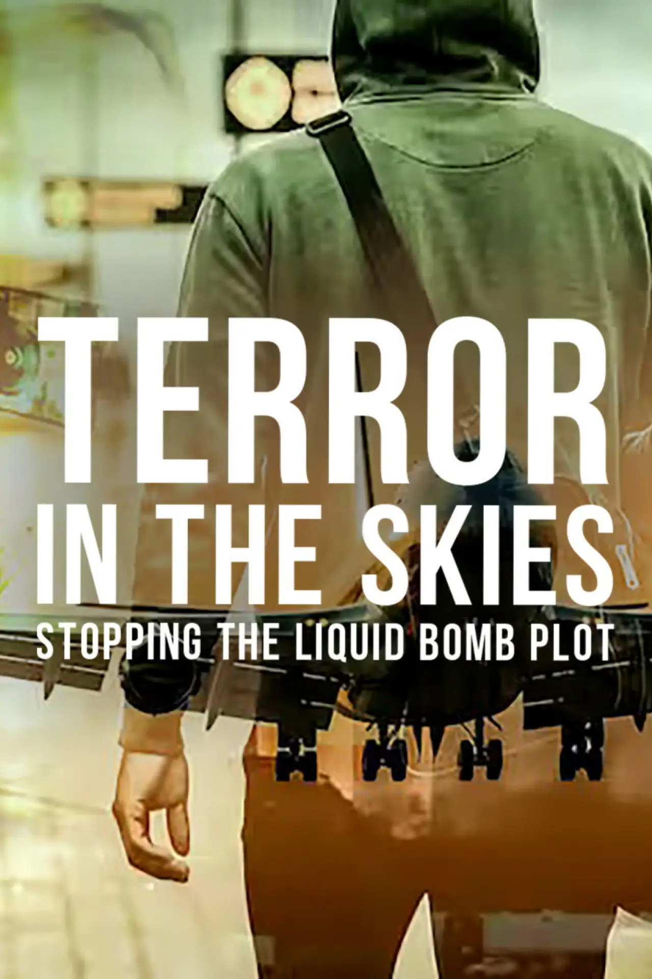 Постер до фільму "Terror in the Skies: Stopping the Liquid Bomb Plot"