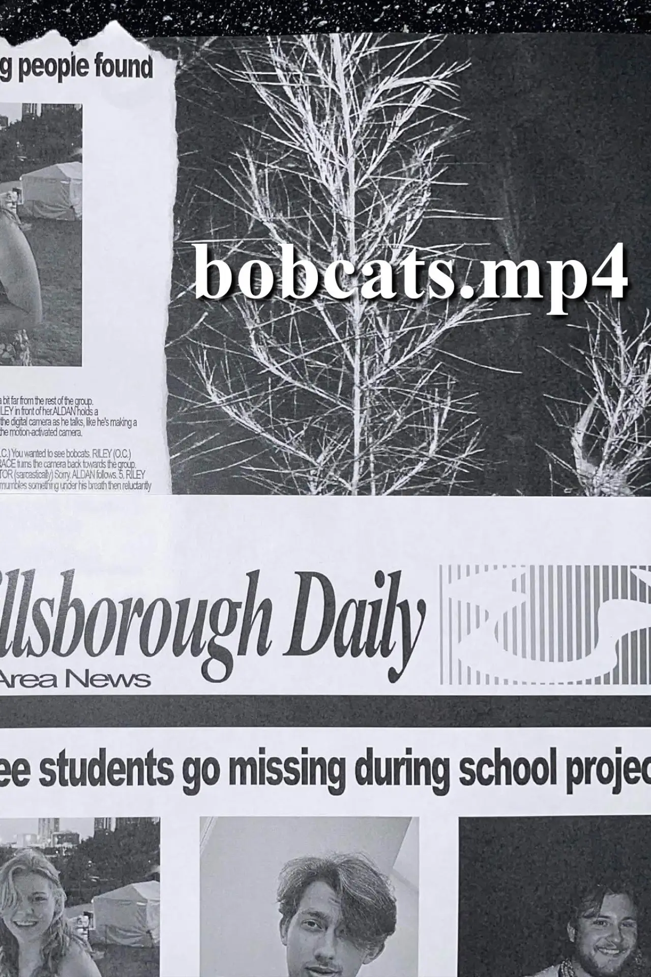Постер до фільму "bobcats.mp4"
