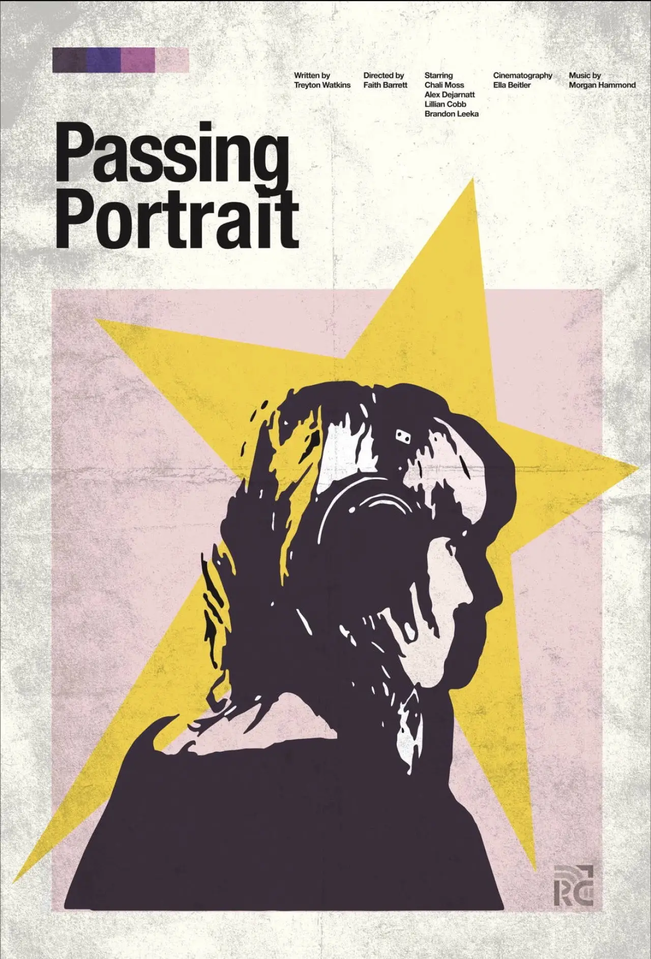 Постер до фільму "Passing Portrait"