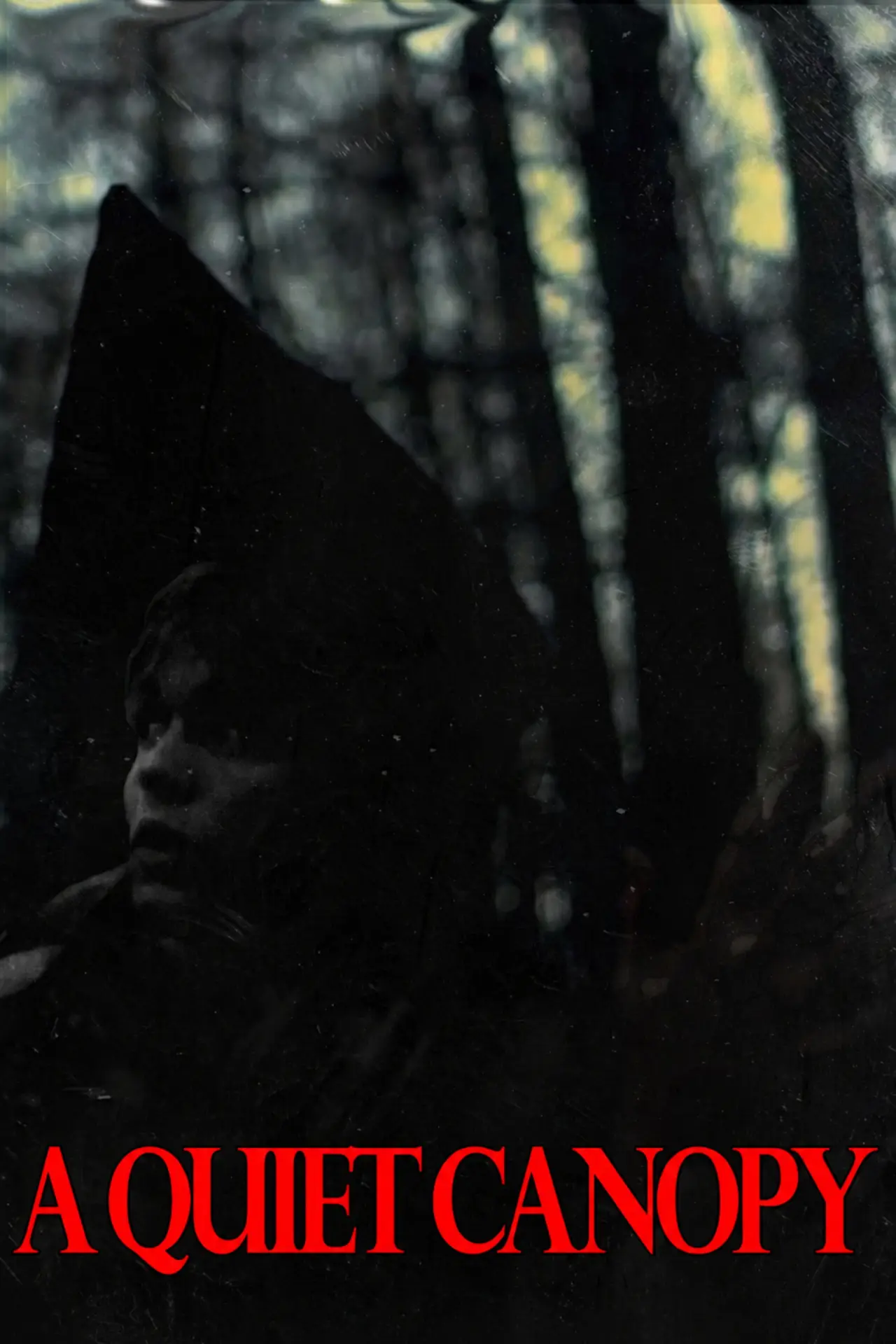 Постер до фільму "A Quiet Canopy"