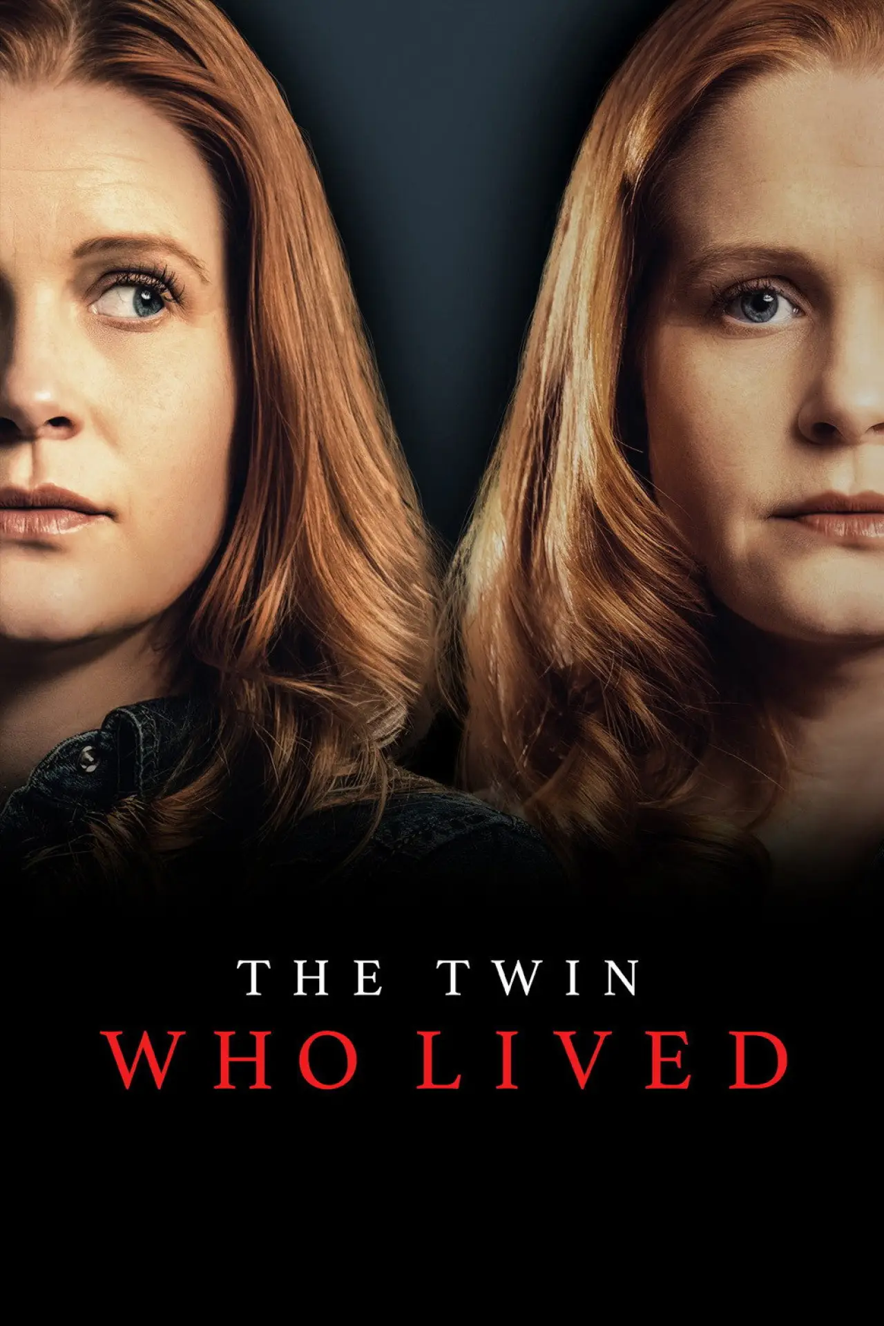 Постер до фільму "The Twin Who Lived"