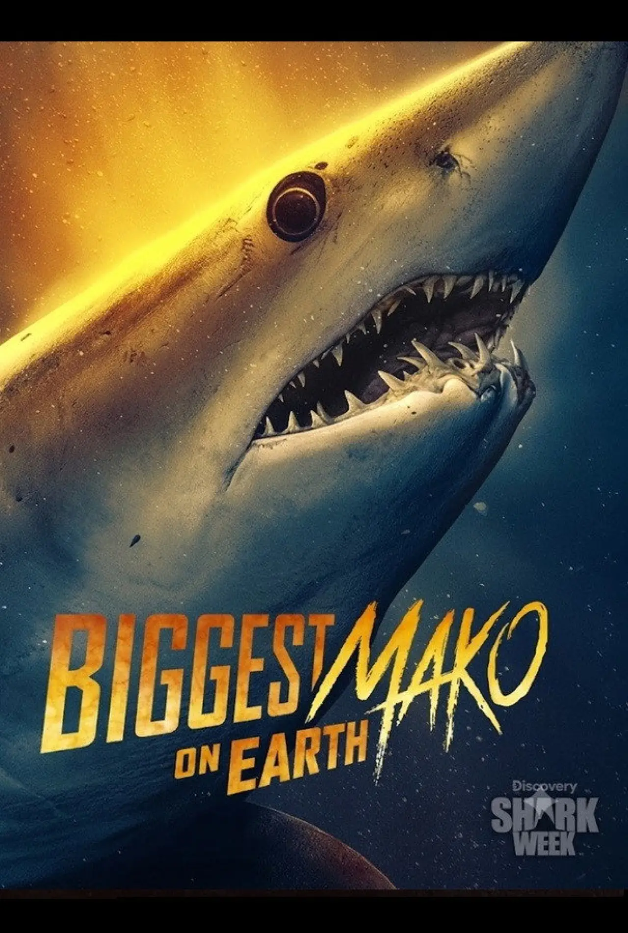 Постер до фільму "Biggest Mako on Earth"