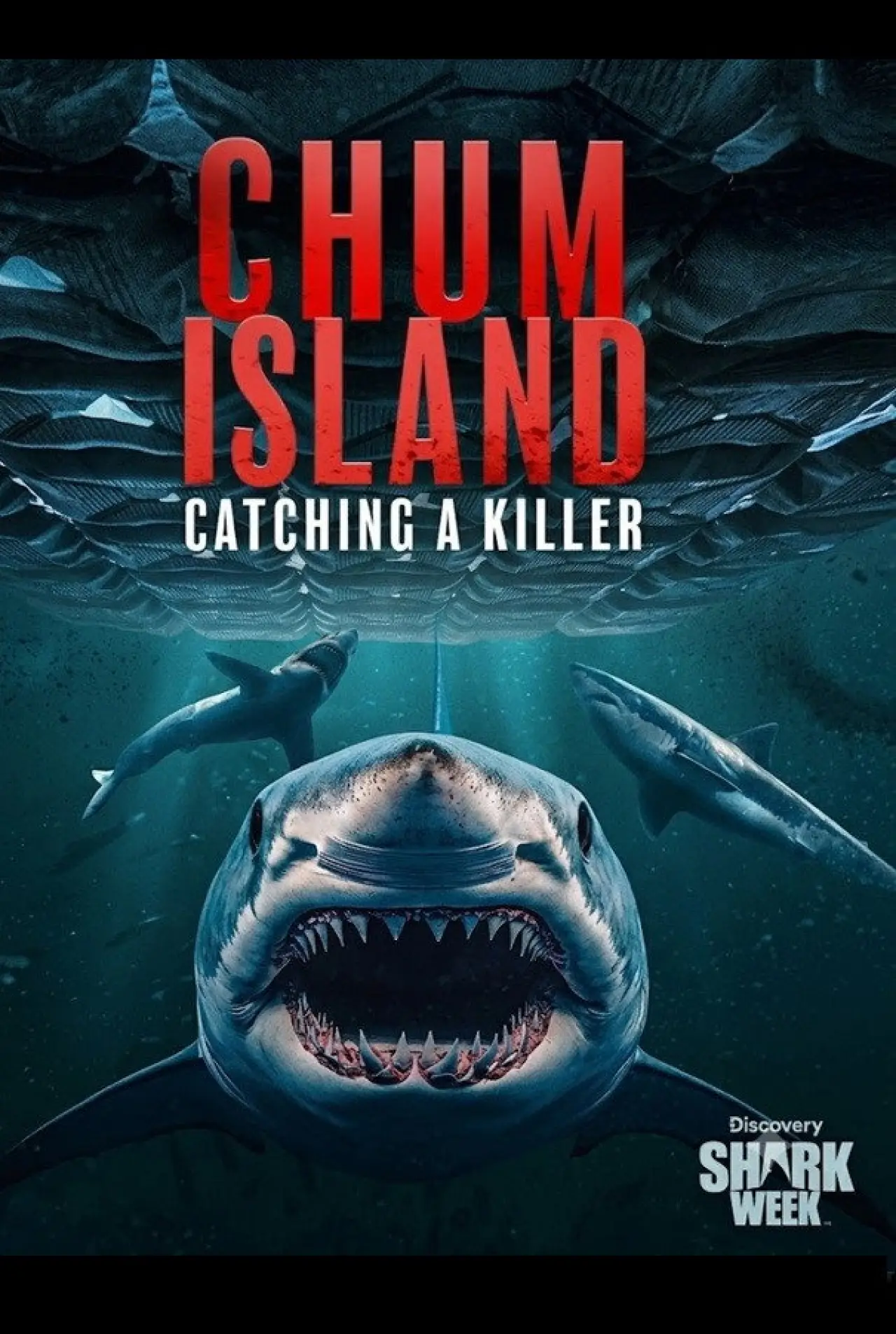 Постер до фільму "Chum Island: Catching a Killer"