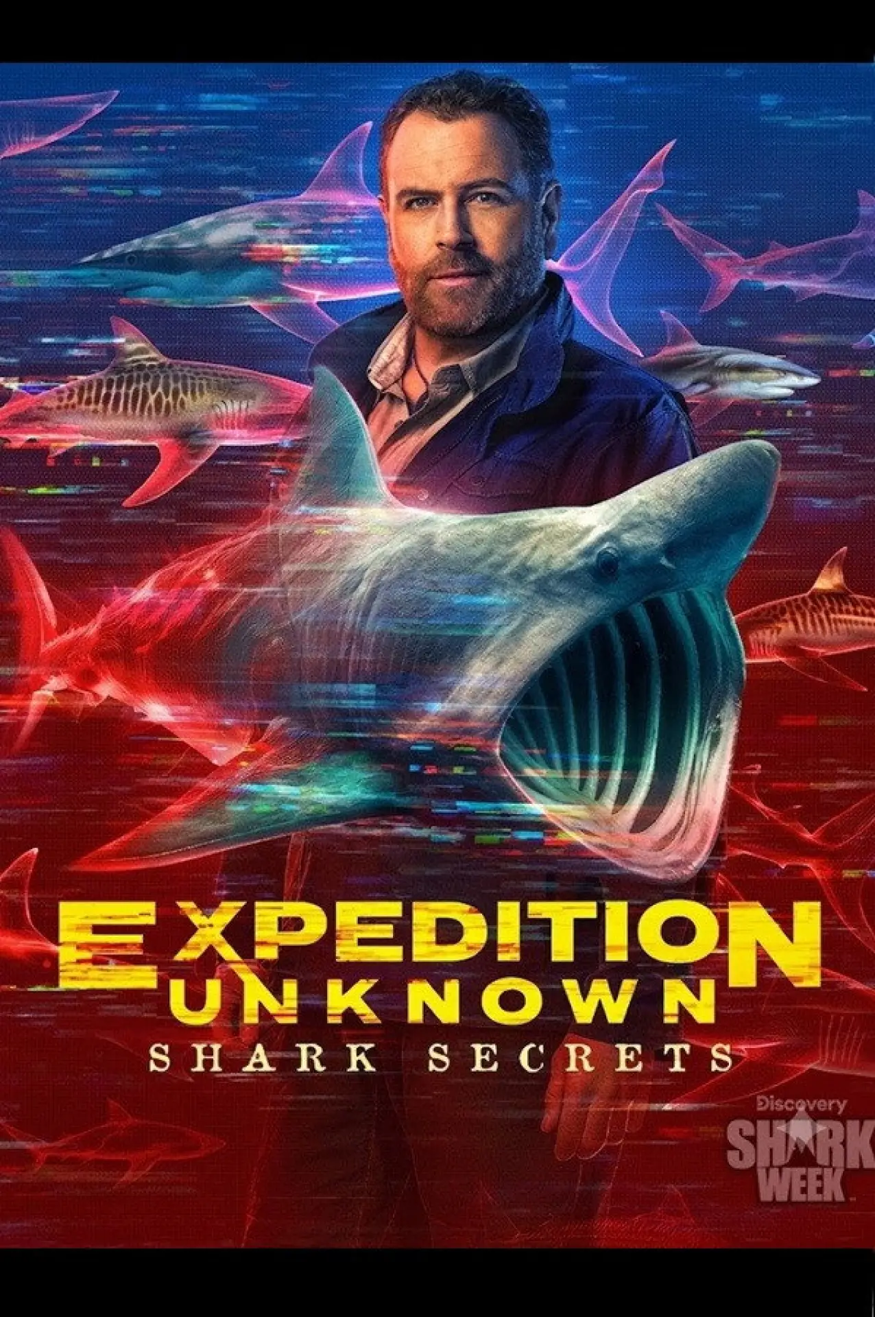 Постер до фільму "Expedition Unknown: Shark Secrets"
