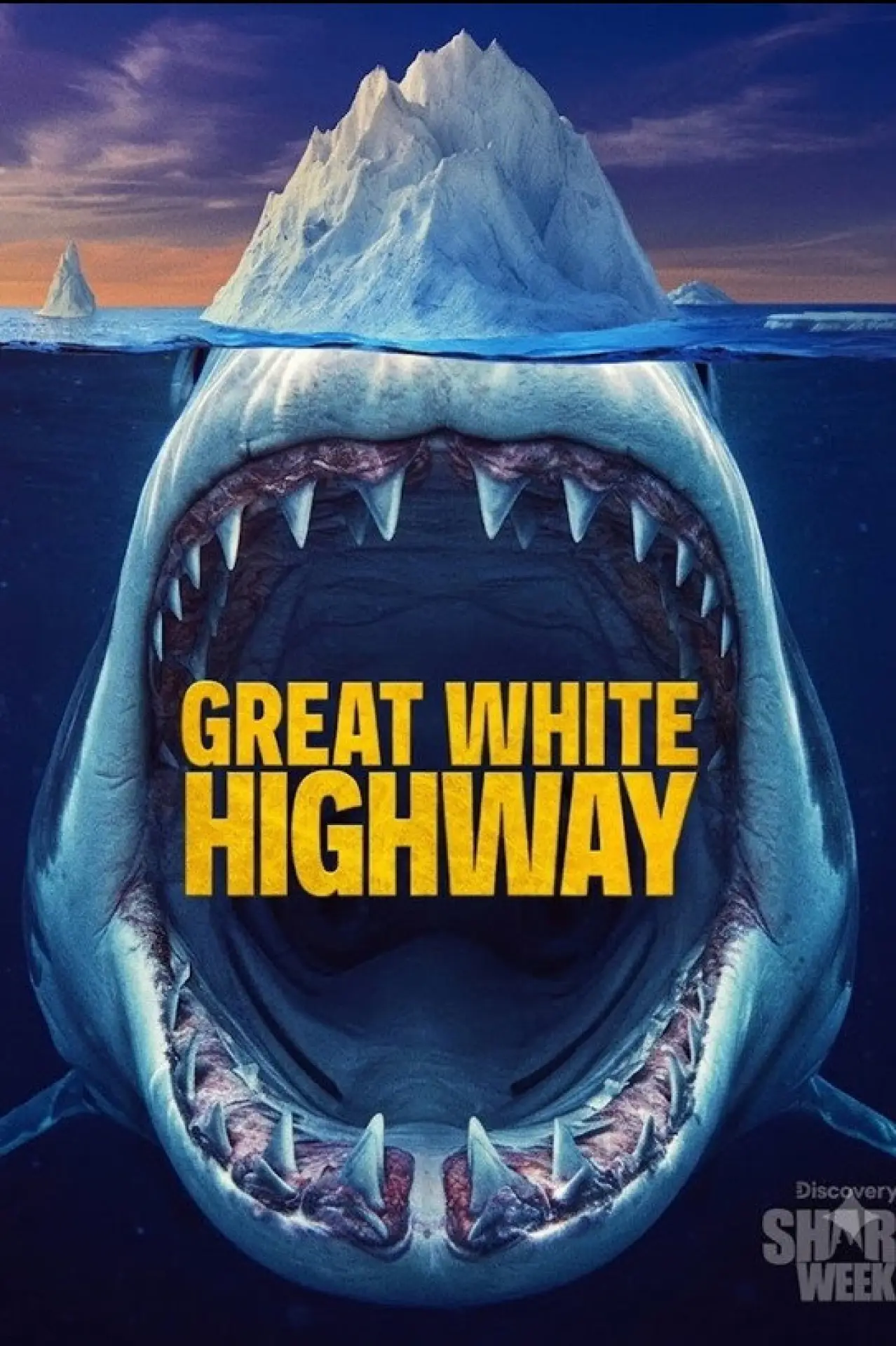 Постер до фільму "Great White Highway"