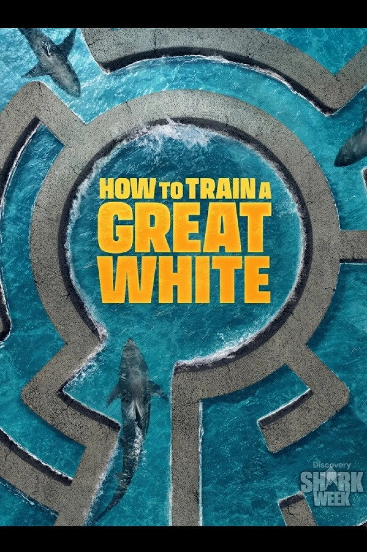Постер до фільму "How to Train a Great White"