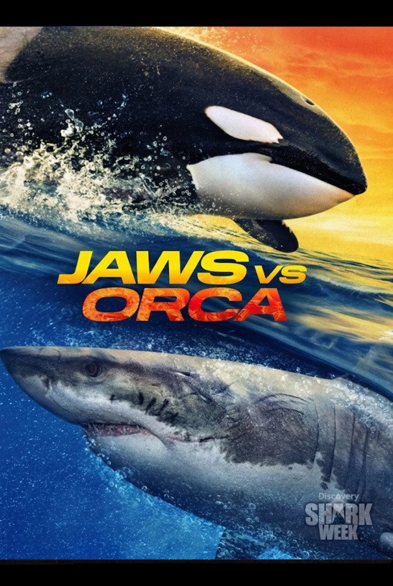 Постер до фільму "Jaws vs. Orca"