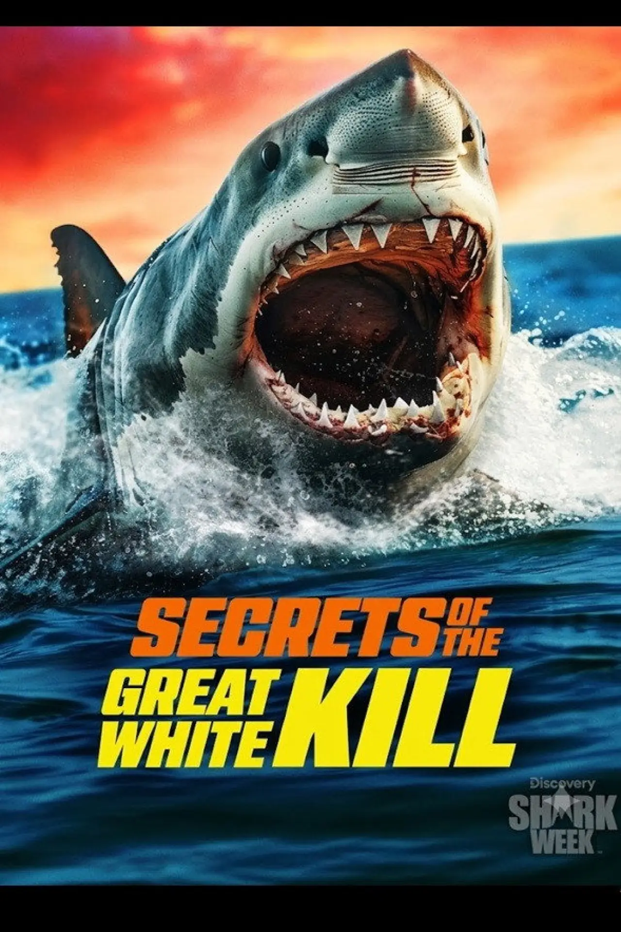 Постер до фільму "Secrets of the Great White Kill"
