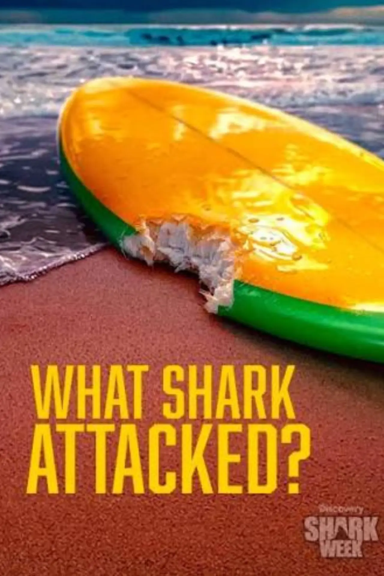 Постер до фільму "What Shark Attacked?"
