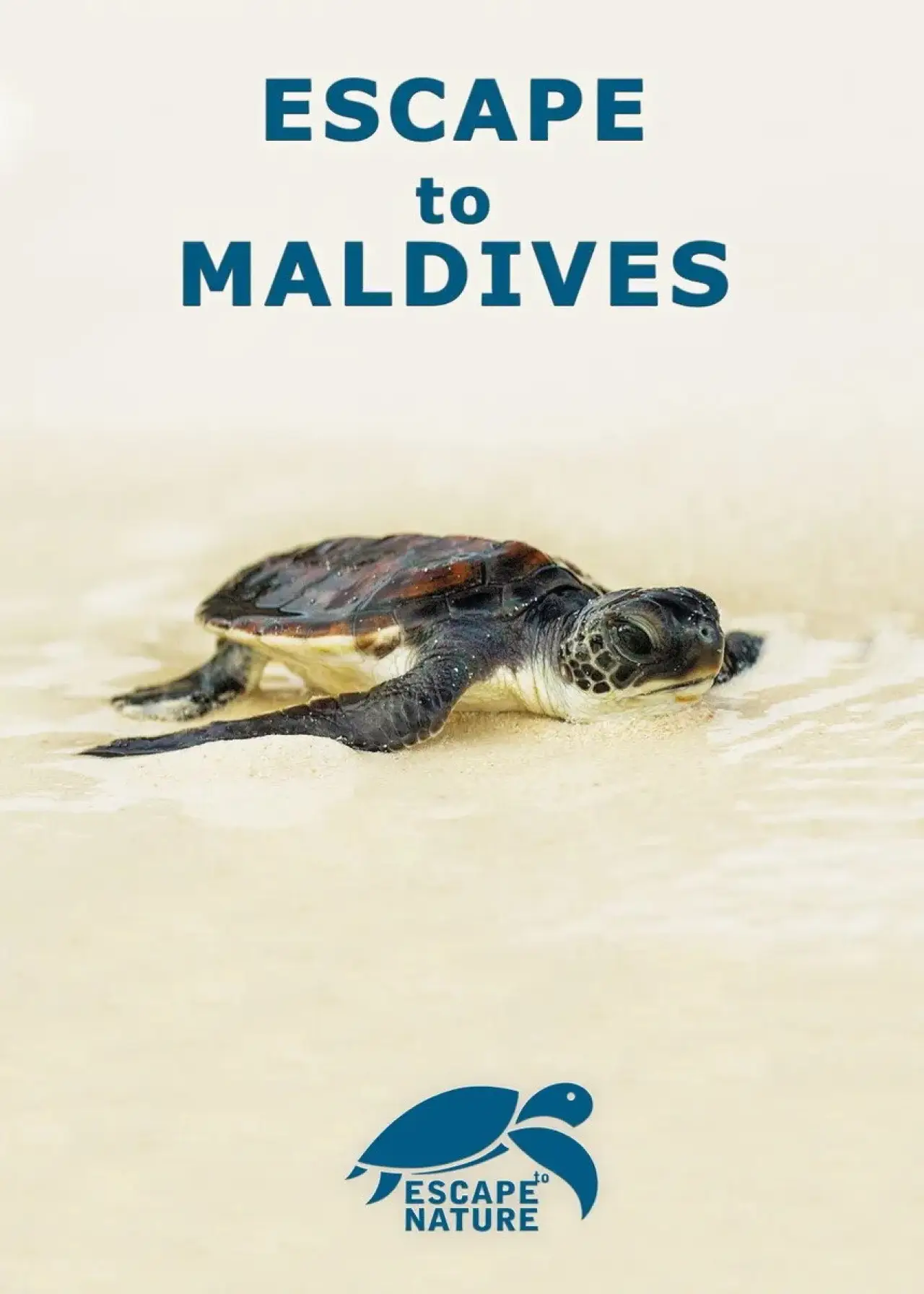 Постер до фільму "Escape to Maldives"