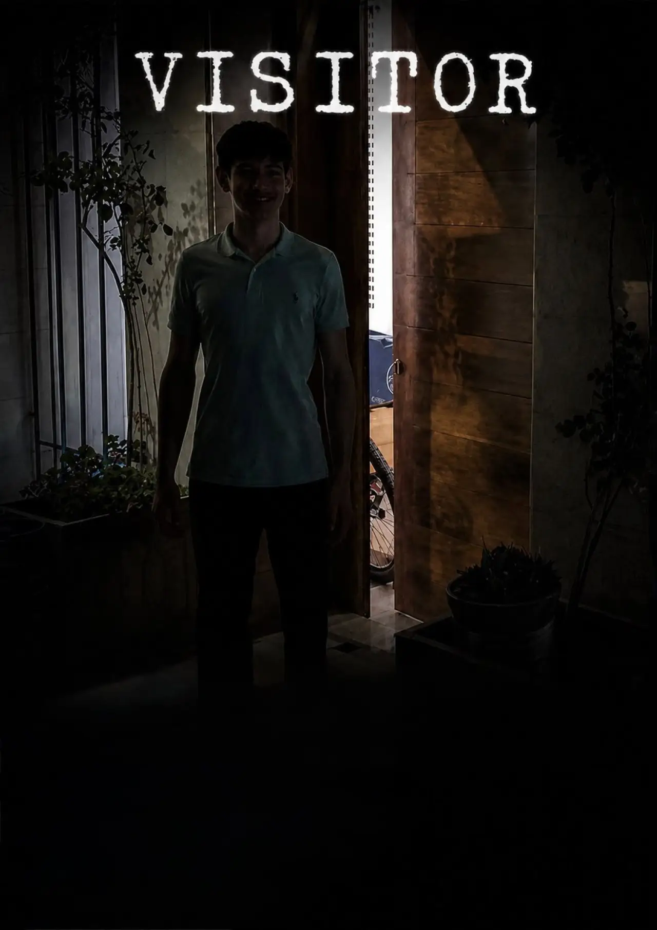 Постер до фільму "Visitor"