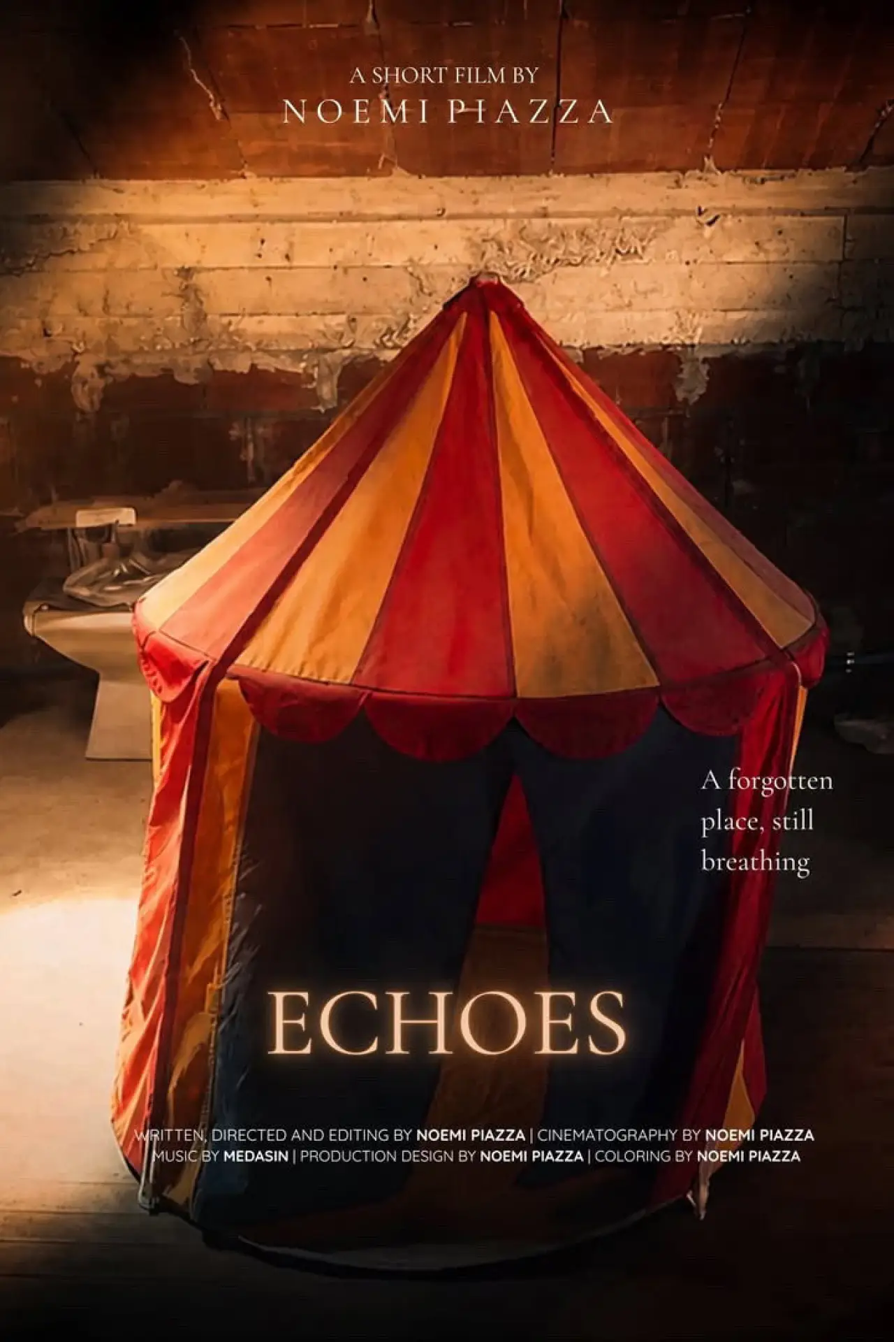 Постер до фільму "Echoes"