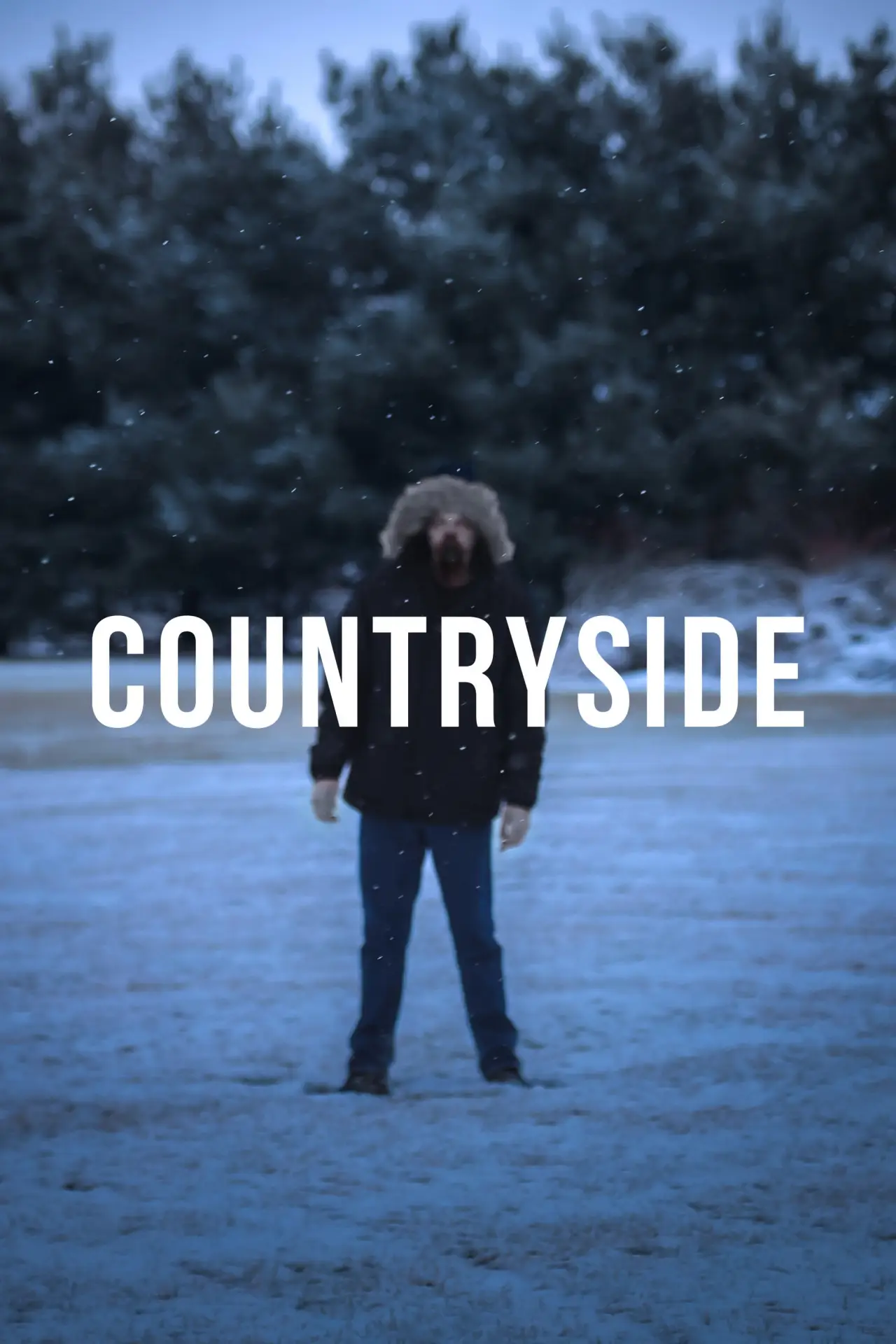 Постер до фільму "Countryside"