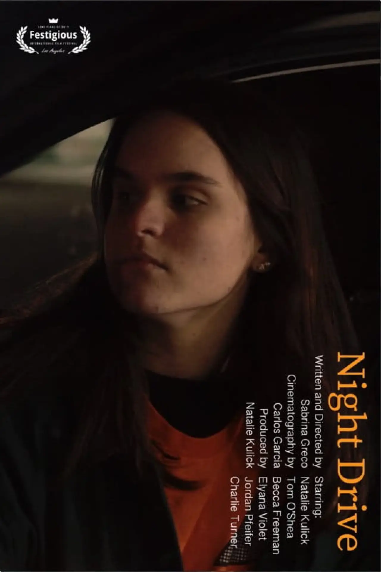 Постер до фільму "Night Drive"
