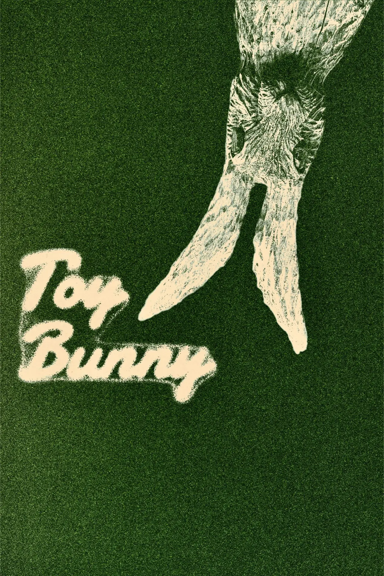 Постер до фільму "Toy Bunny"