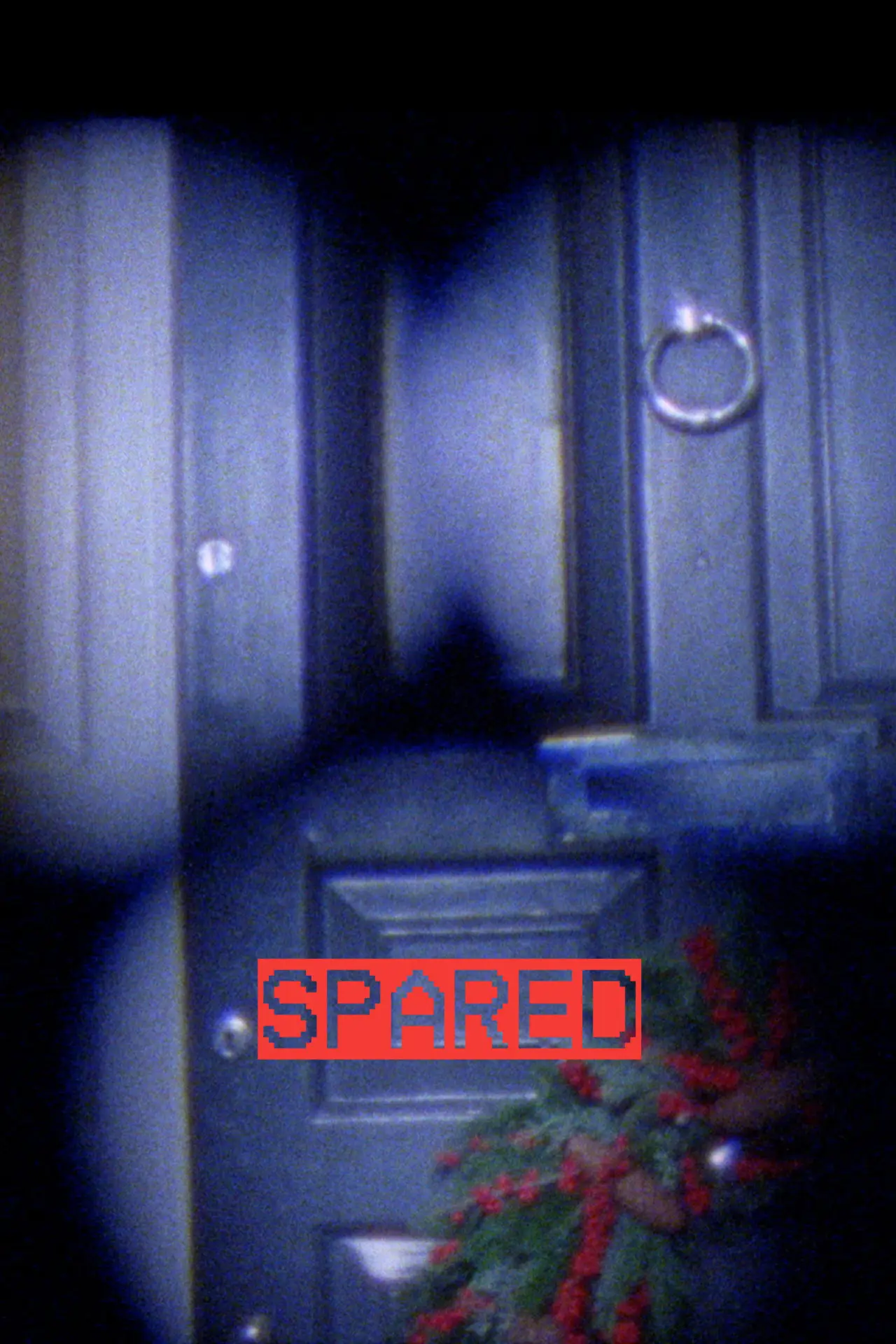 Постер до фільму "Spared"