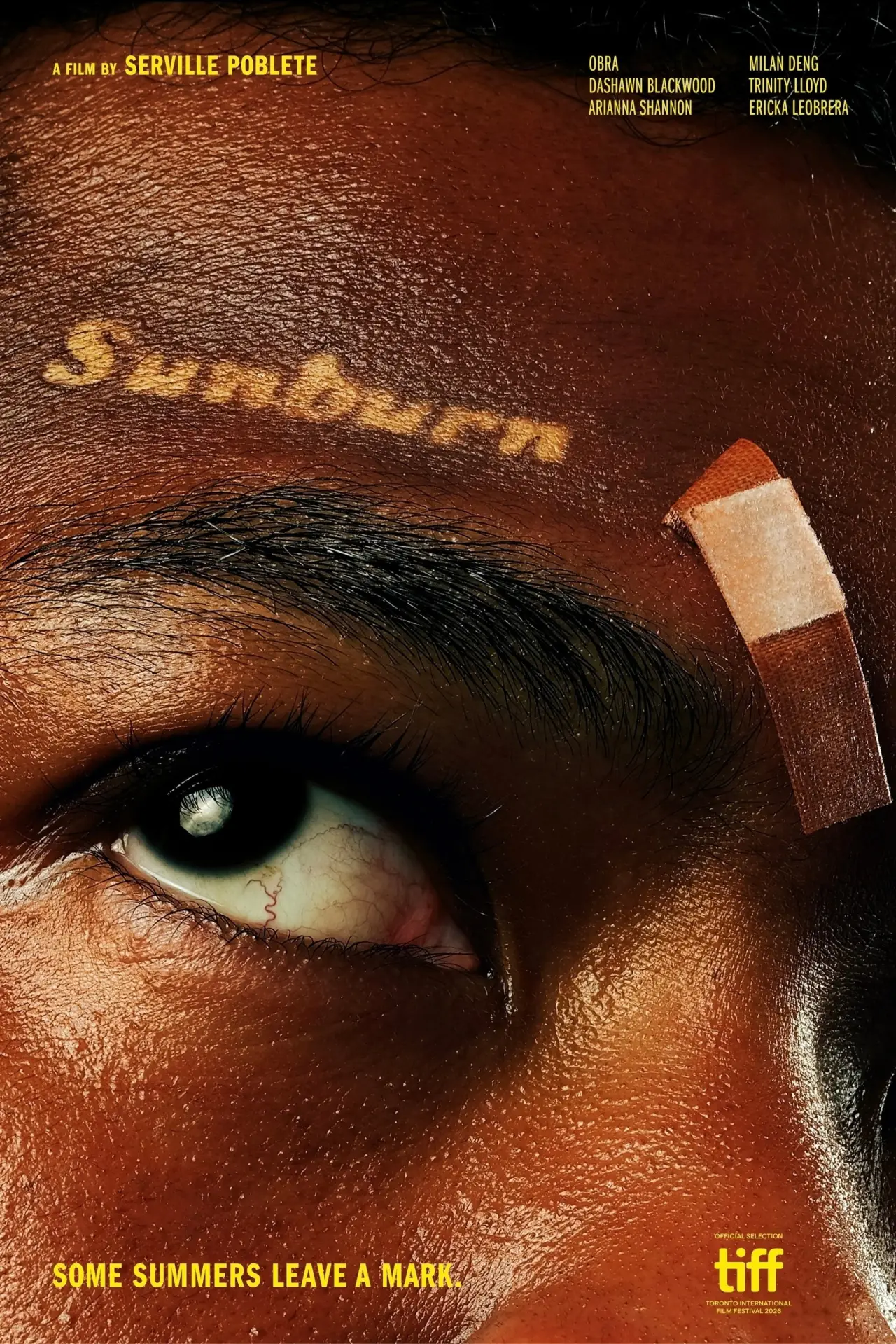 Постер до фільму "Sunburn"