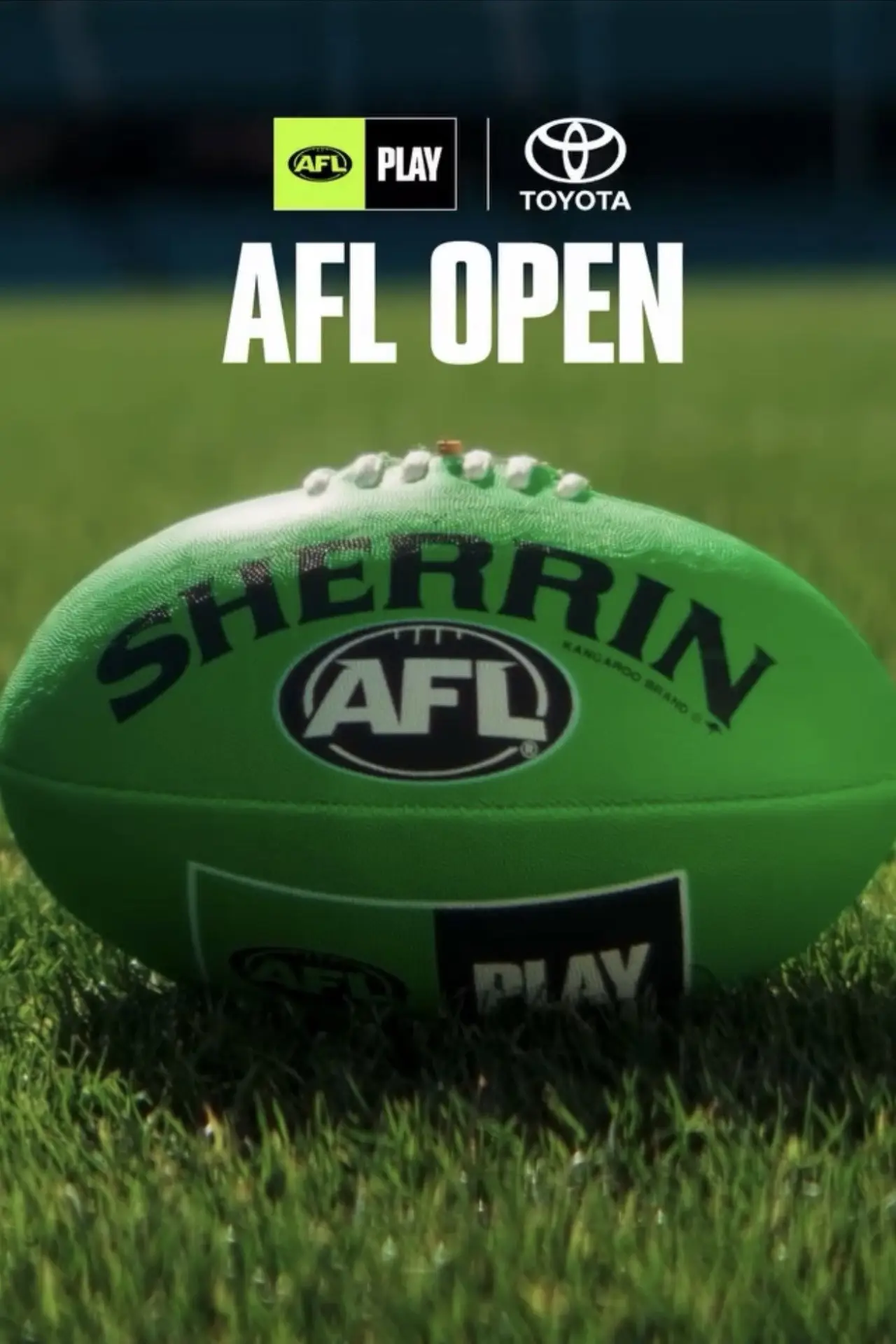 Постер до фільму "AFL Open"