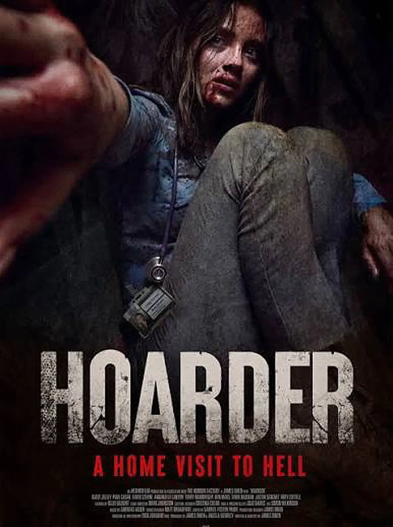 Постер до фільму "The Hoarder"
