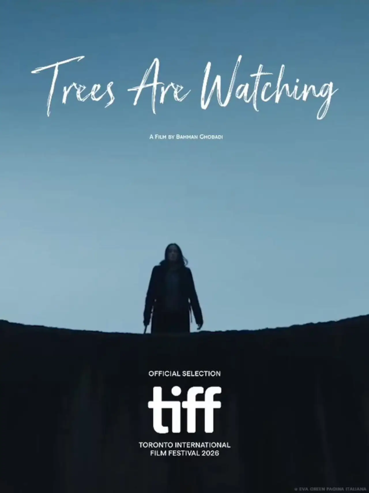 Постер до фільму "Trees are Watching"