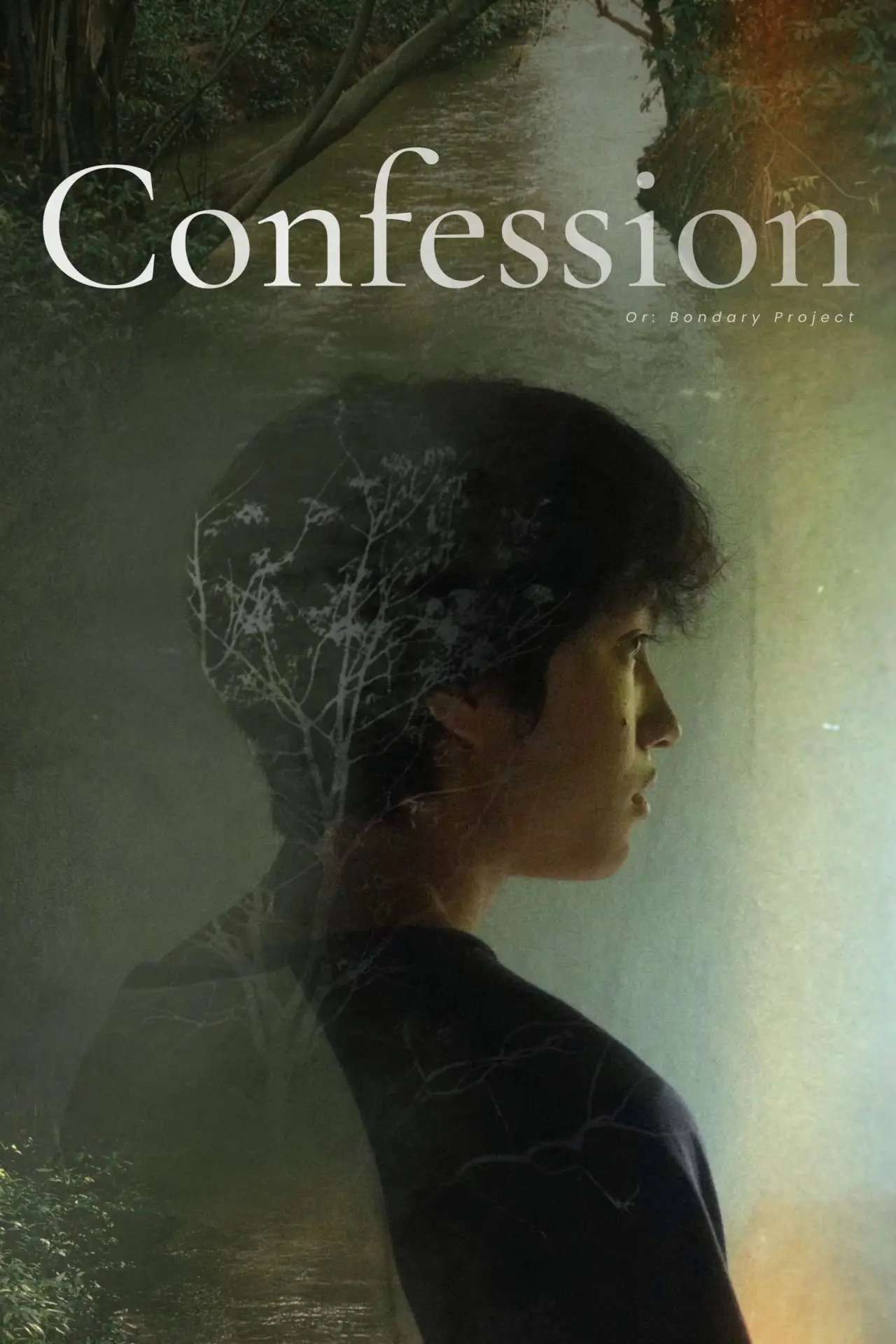 Постер до фільму "Confession or: Bondary Project"