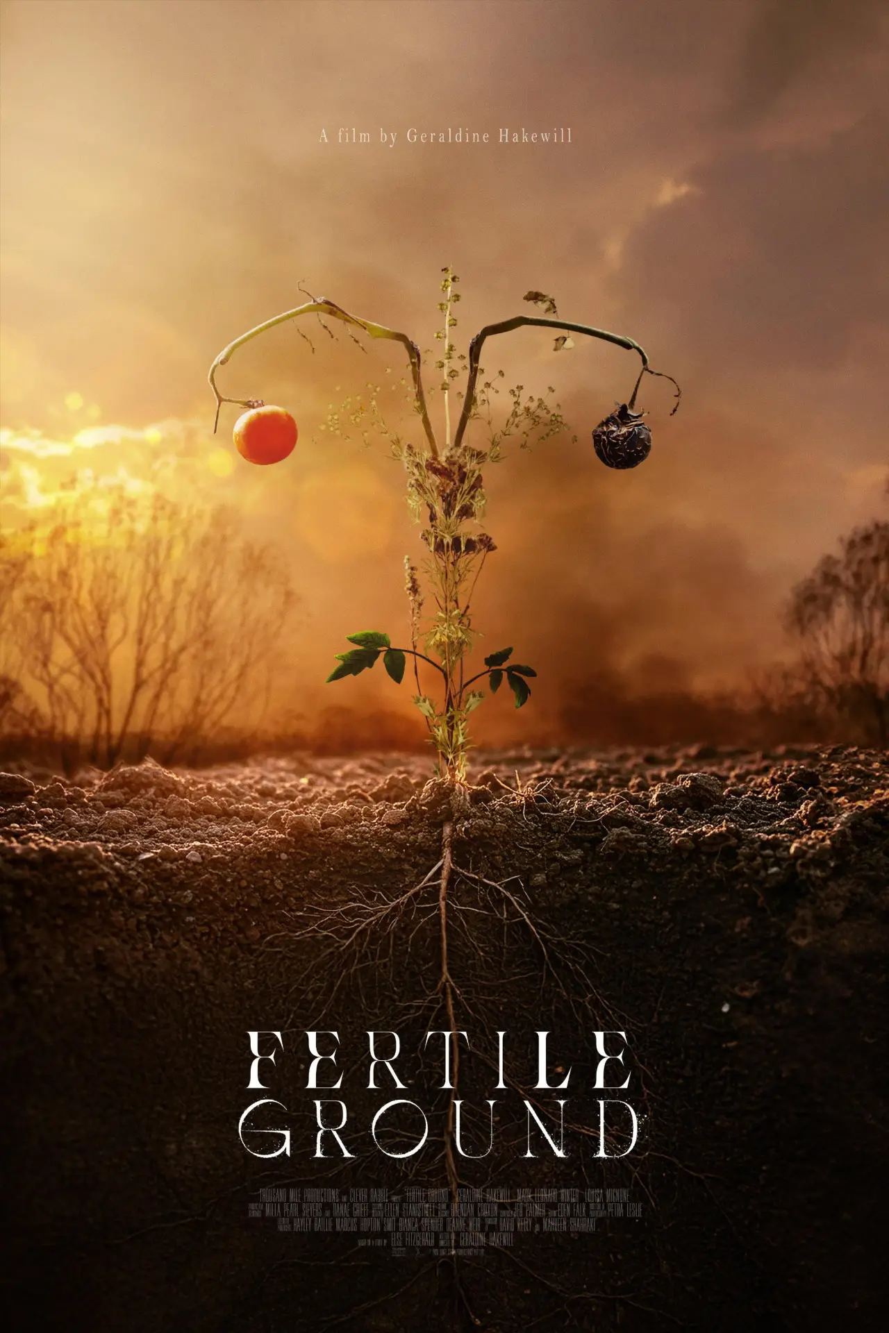 Постер до фільму "Fertile Ground"