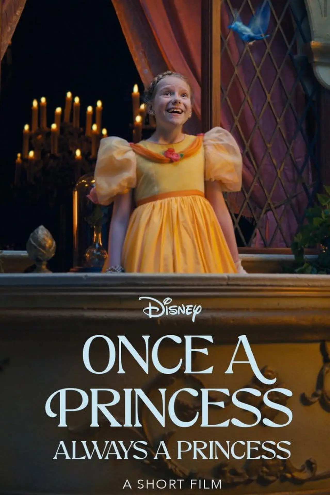 Постер до фільму "Once a Princess, Always a Princess"