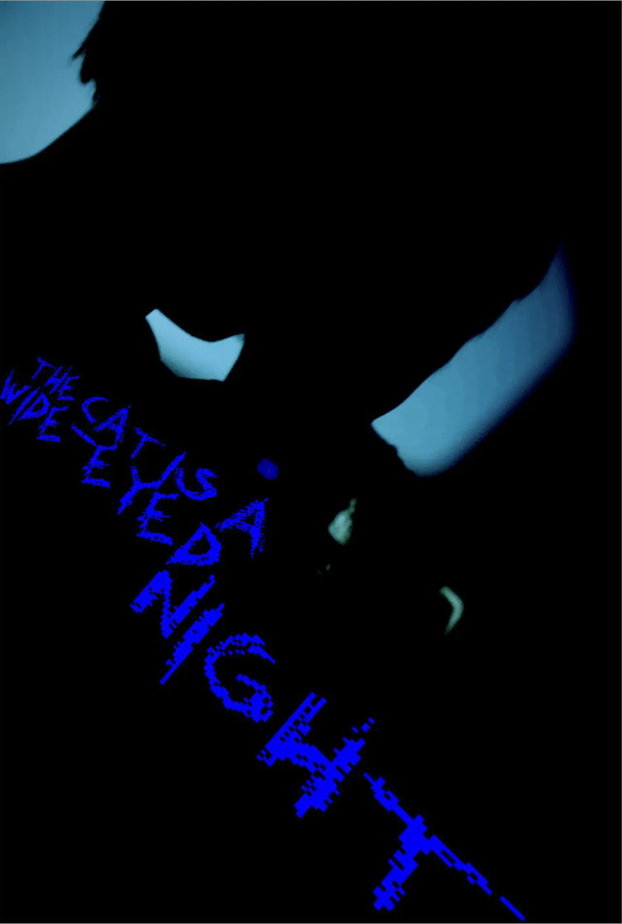 Постер до фільму "The Cat Is A Wide-Eyed Night"