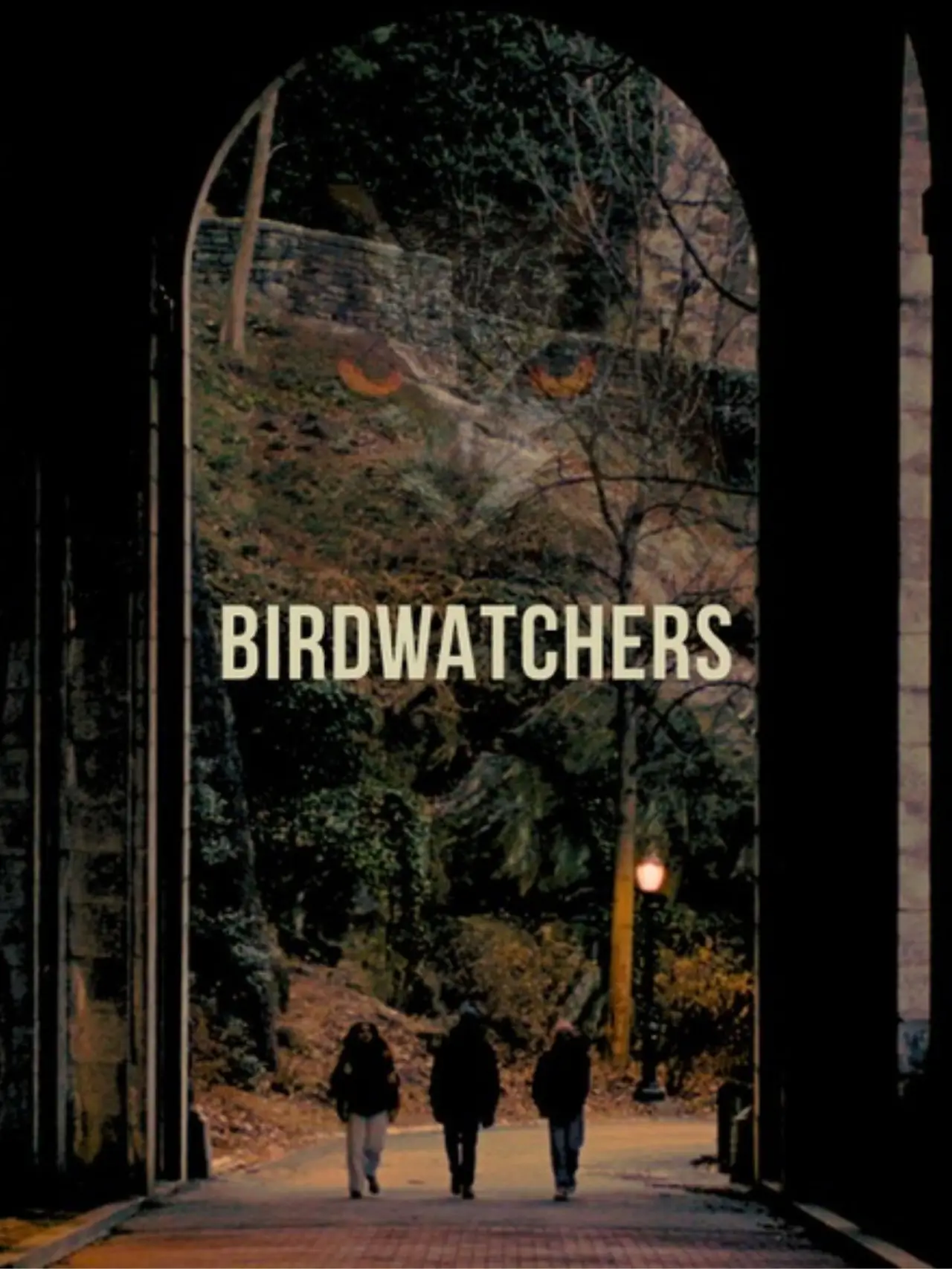 Постер до фільму "Birdwatchers"