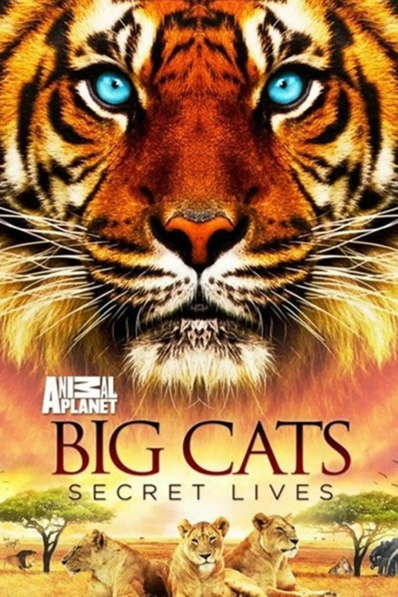 Постер до фільму "Big Cats: Secret Lives"